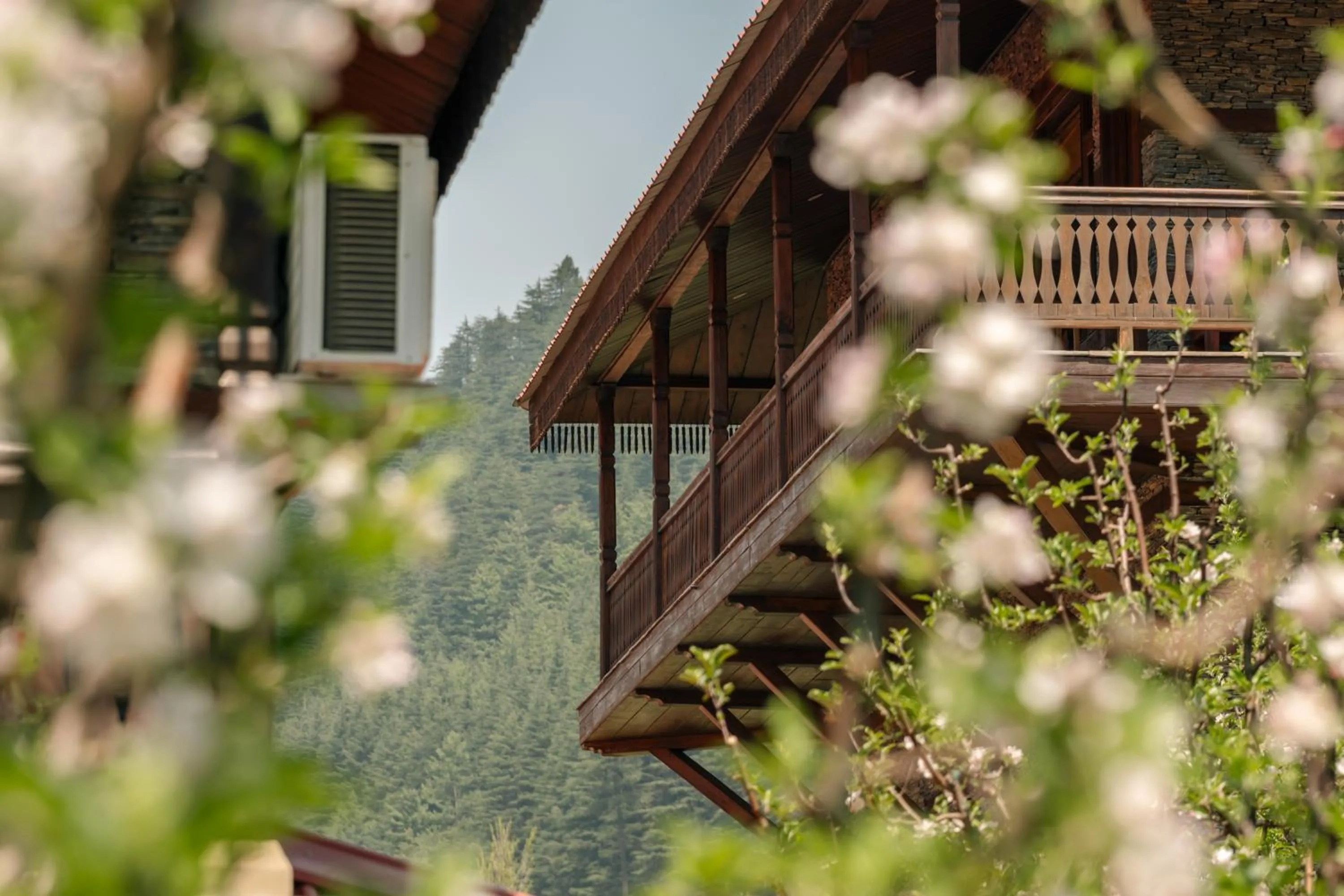 Property building in Shivadya - A Luxury Boutique Experience