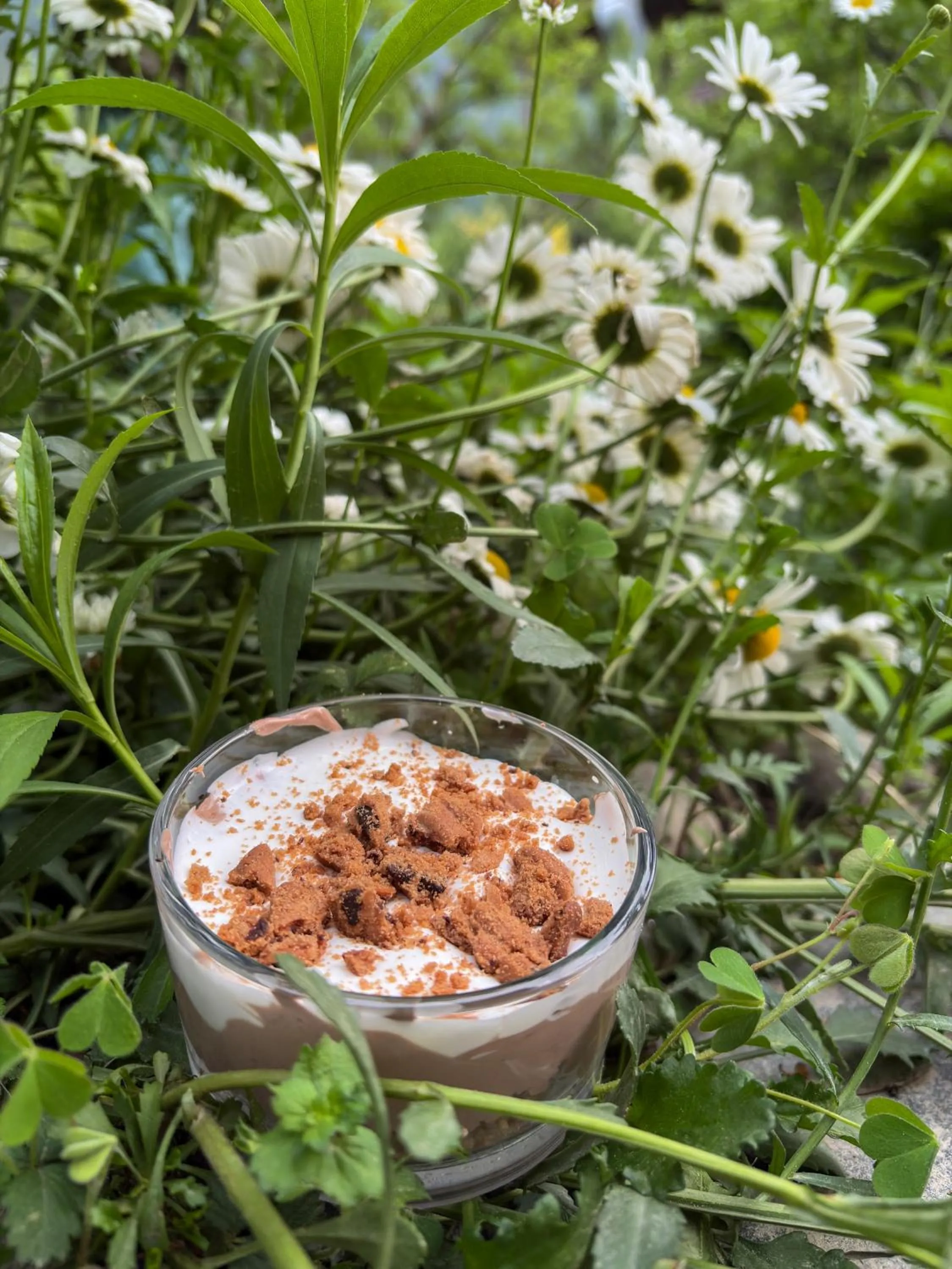 Garden in Shivadya - A Luxury Boutique Experience