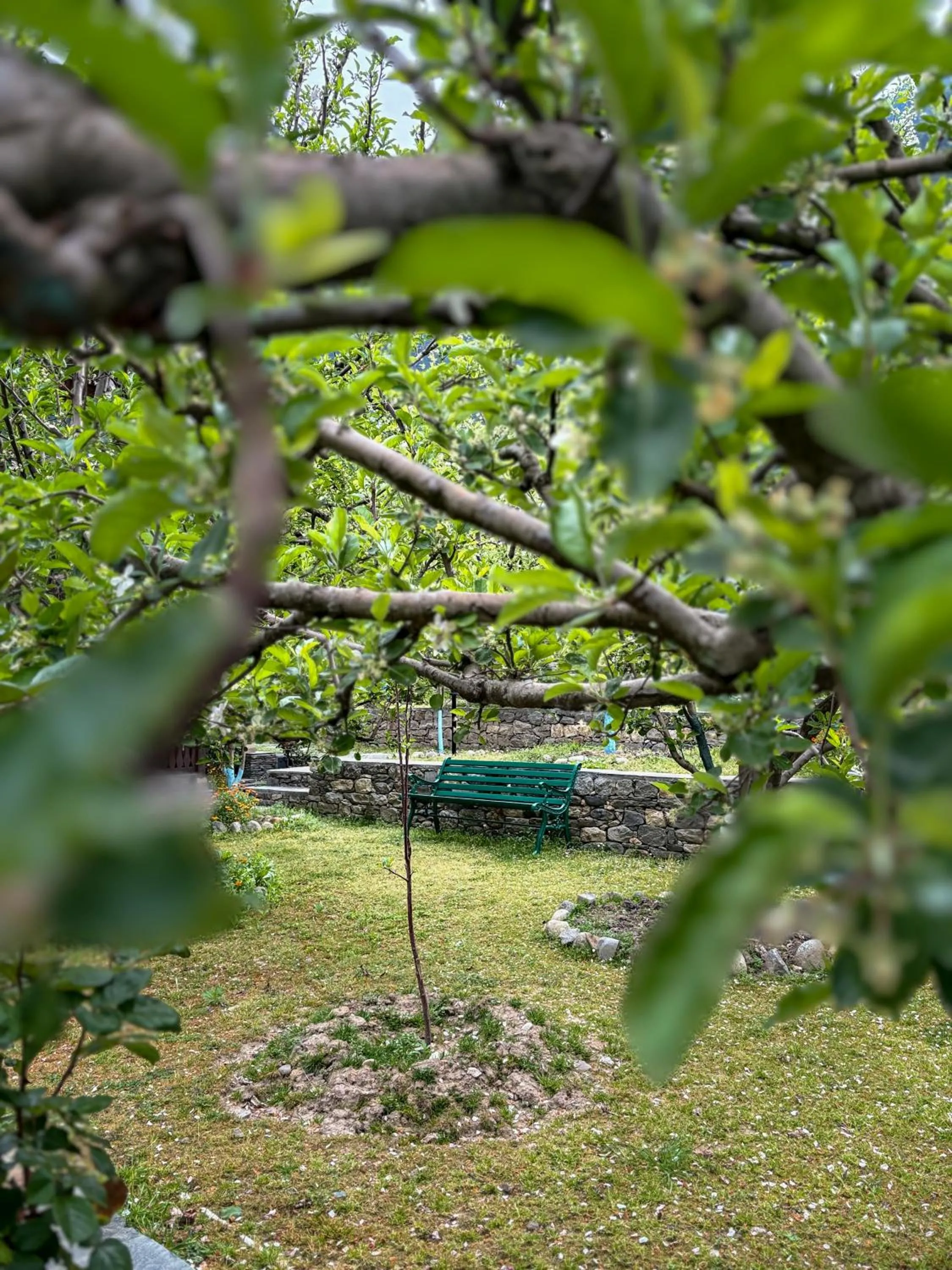 Spring in Shivadya - A Luxury Boutique Experience