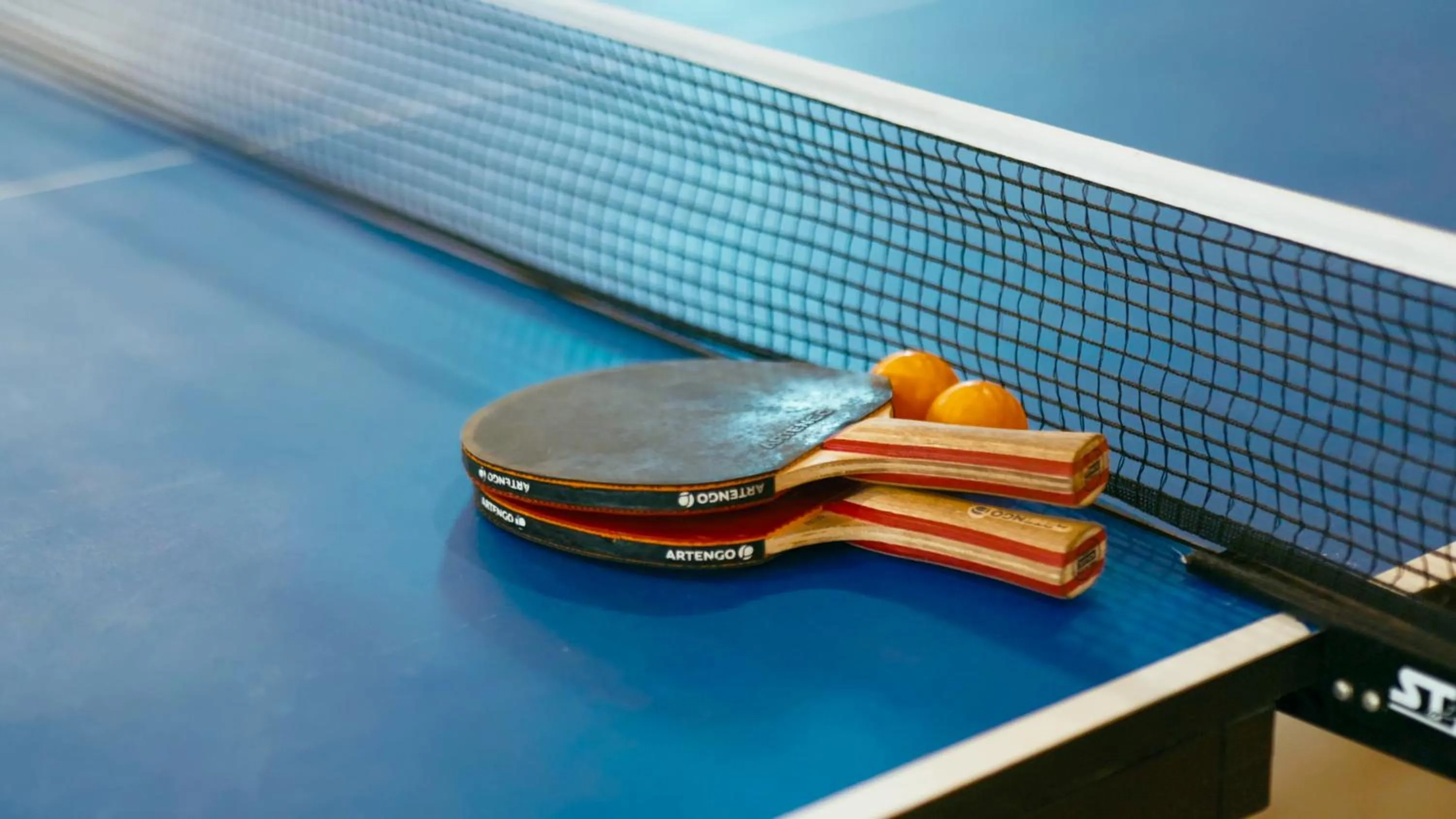 Activities in Shivadya - A Luxury Boutique Experience