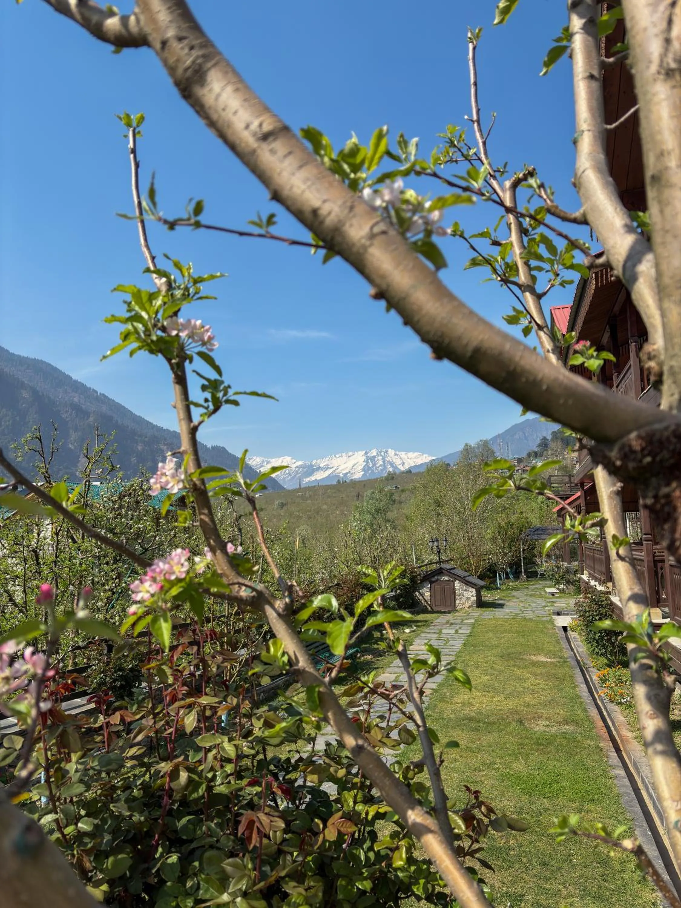 Spring in Shivadya - A Luxury Boutique Experience