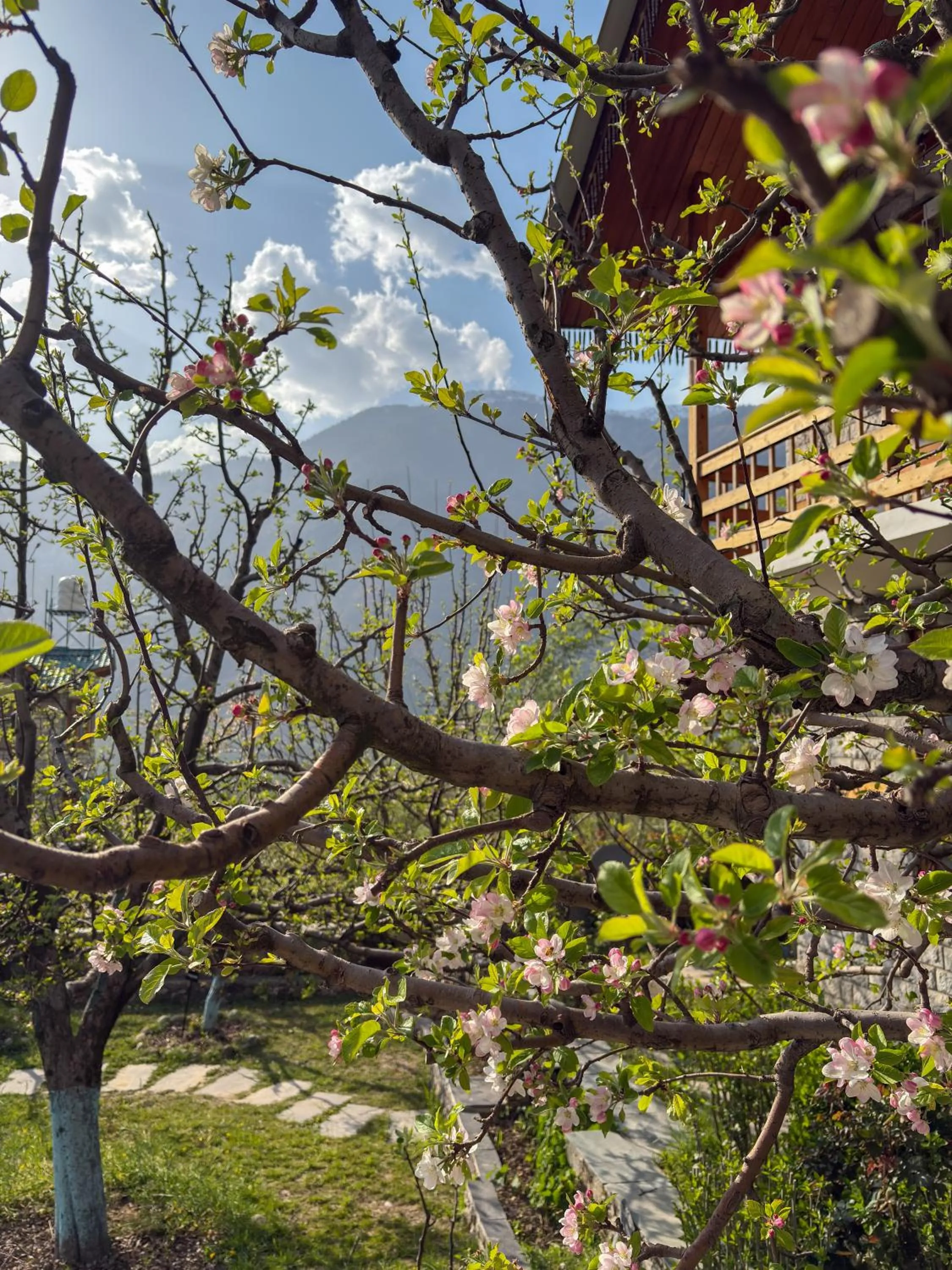 Spring in Shivadya - A Luxury Boutique Experience