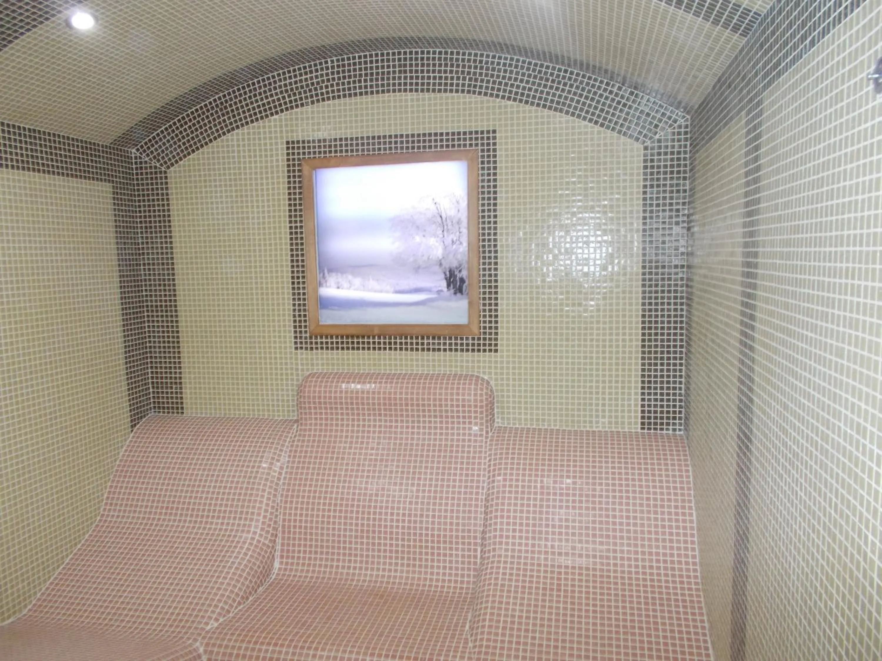 Steam room in Motel Koziyat Rog