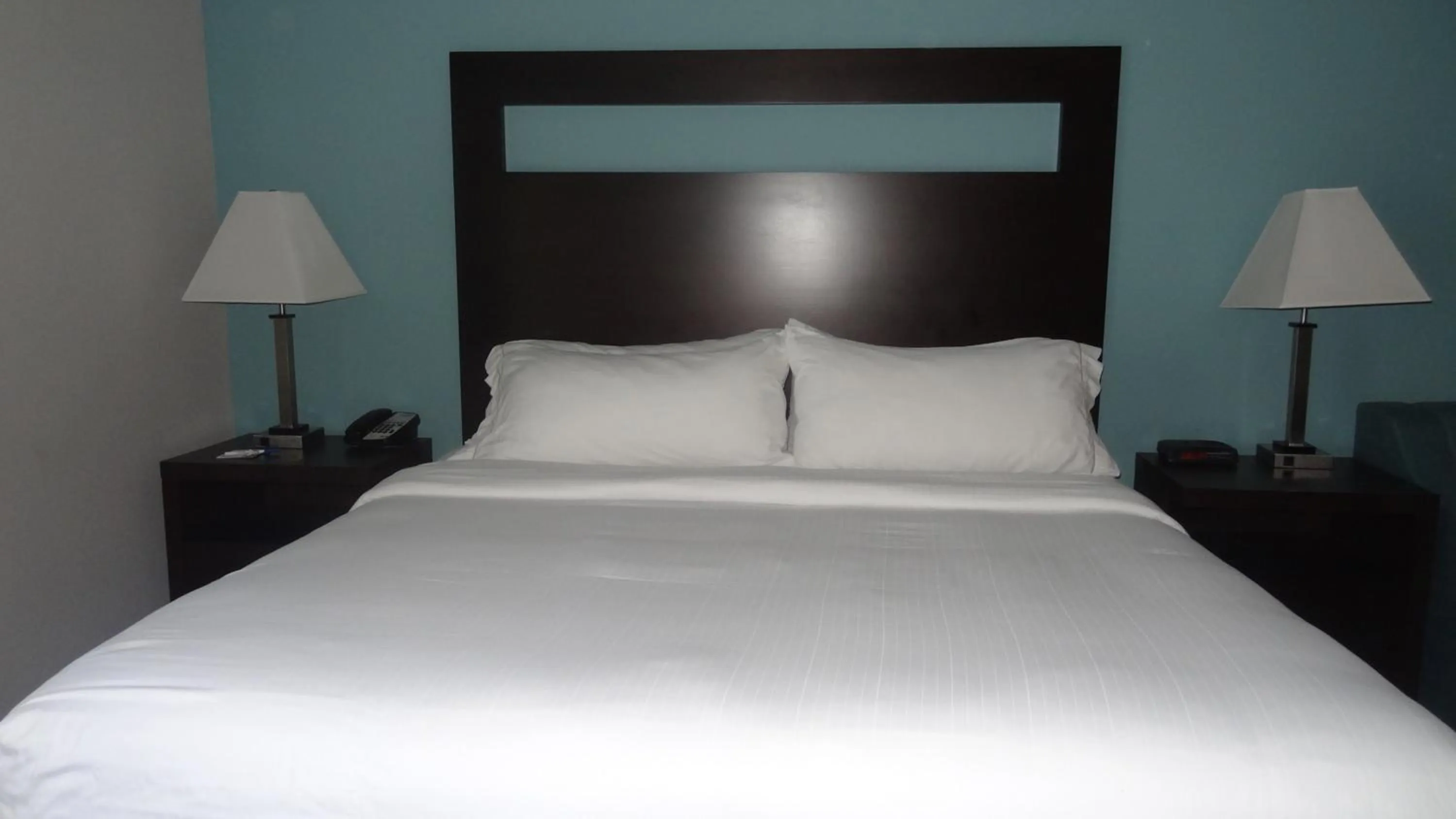 Photo of the whole room, Bed in Holiday Inn Express Hotel Kansas City - Bonner Springs by IHG
