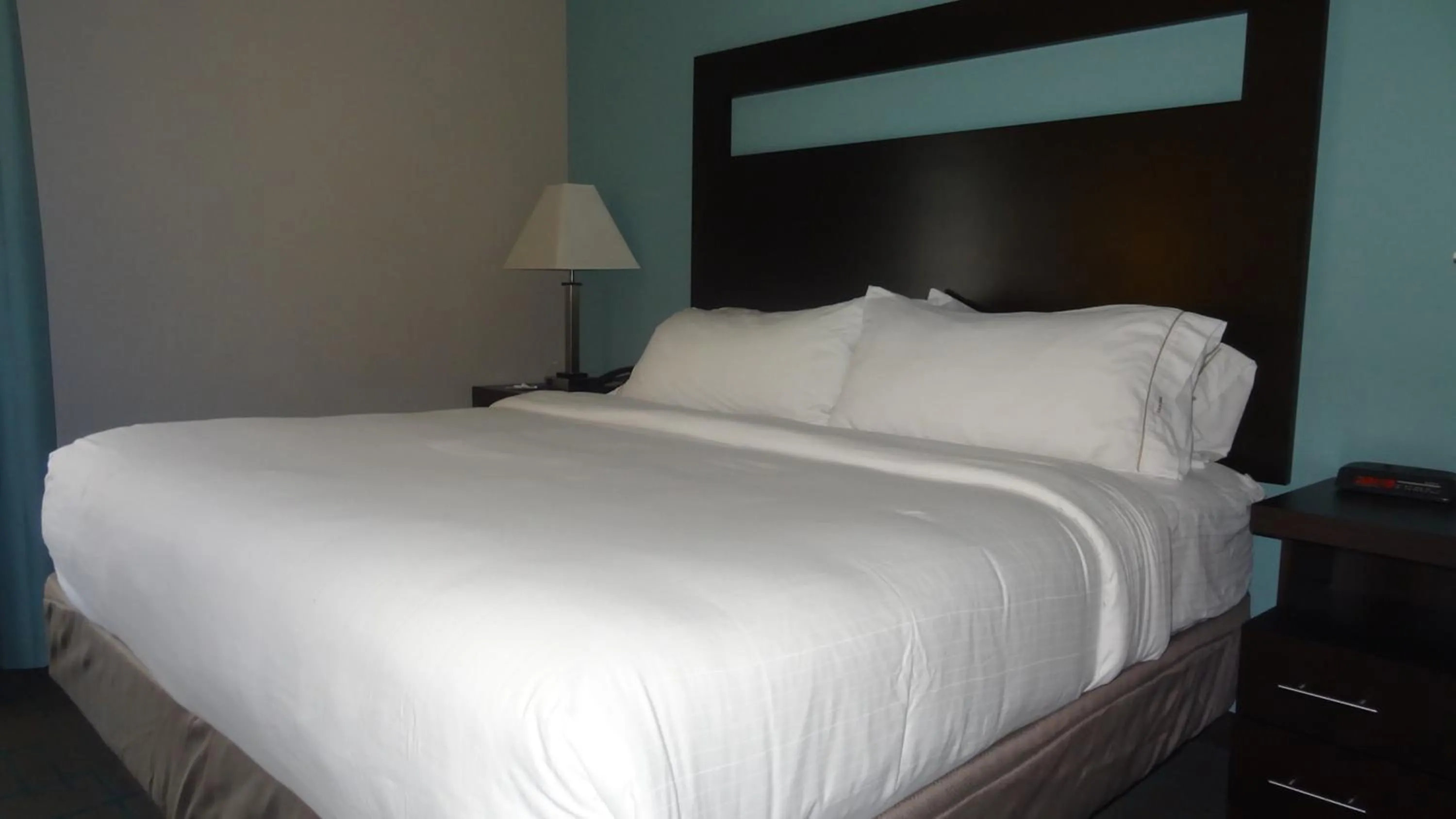 Photo of the whole room, Bed in Holiday Inn Express Hotel Kansas City - Bonner Springs by IHG