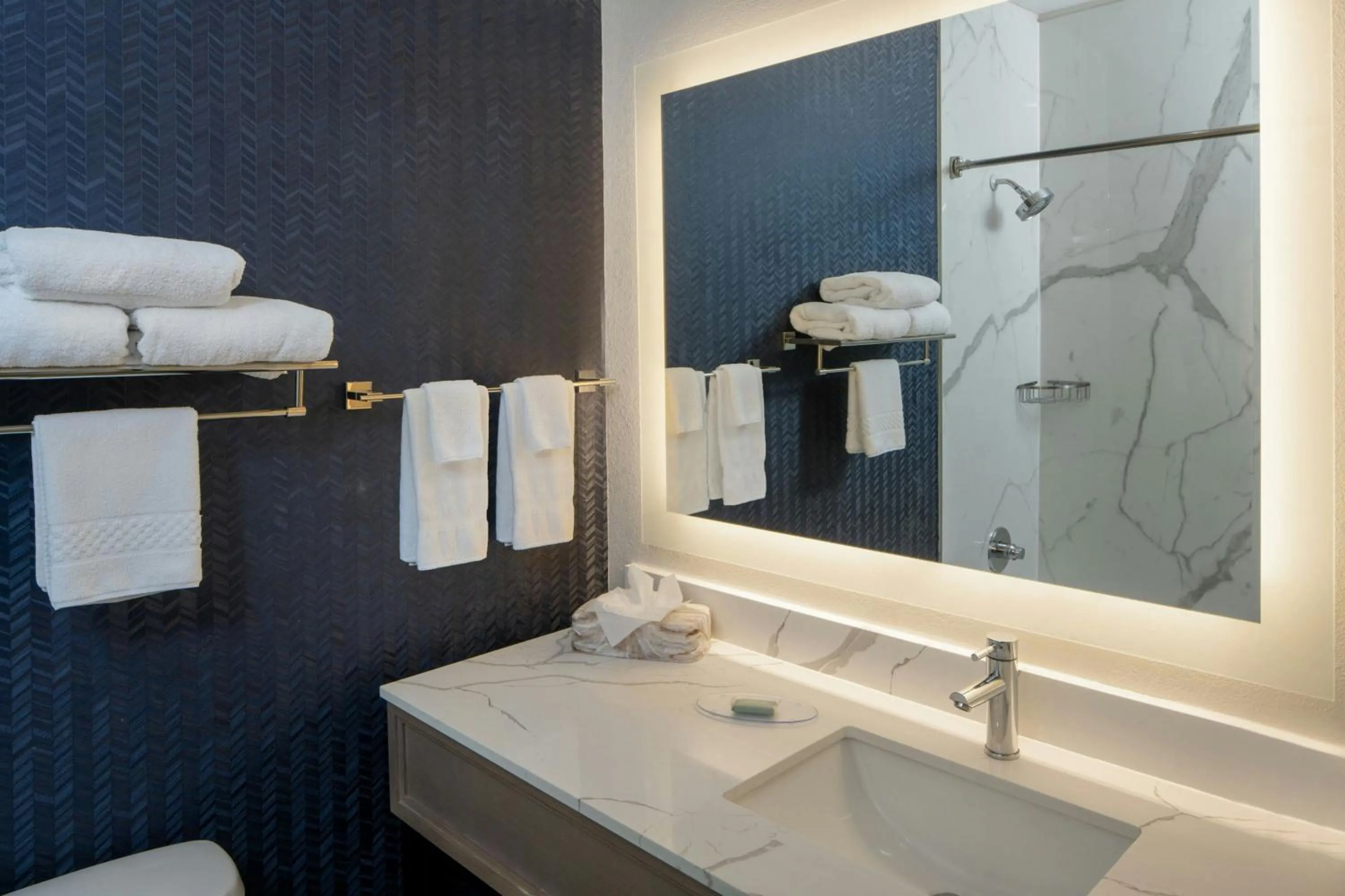 Bathroom in Fairfield Inn & Suites by Marriott Lafayette South