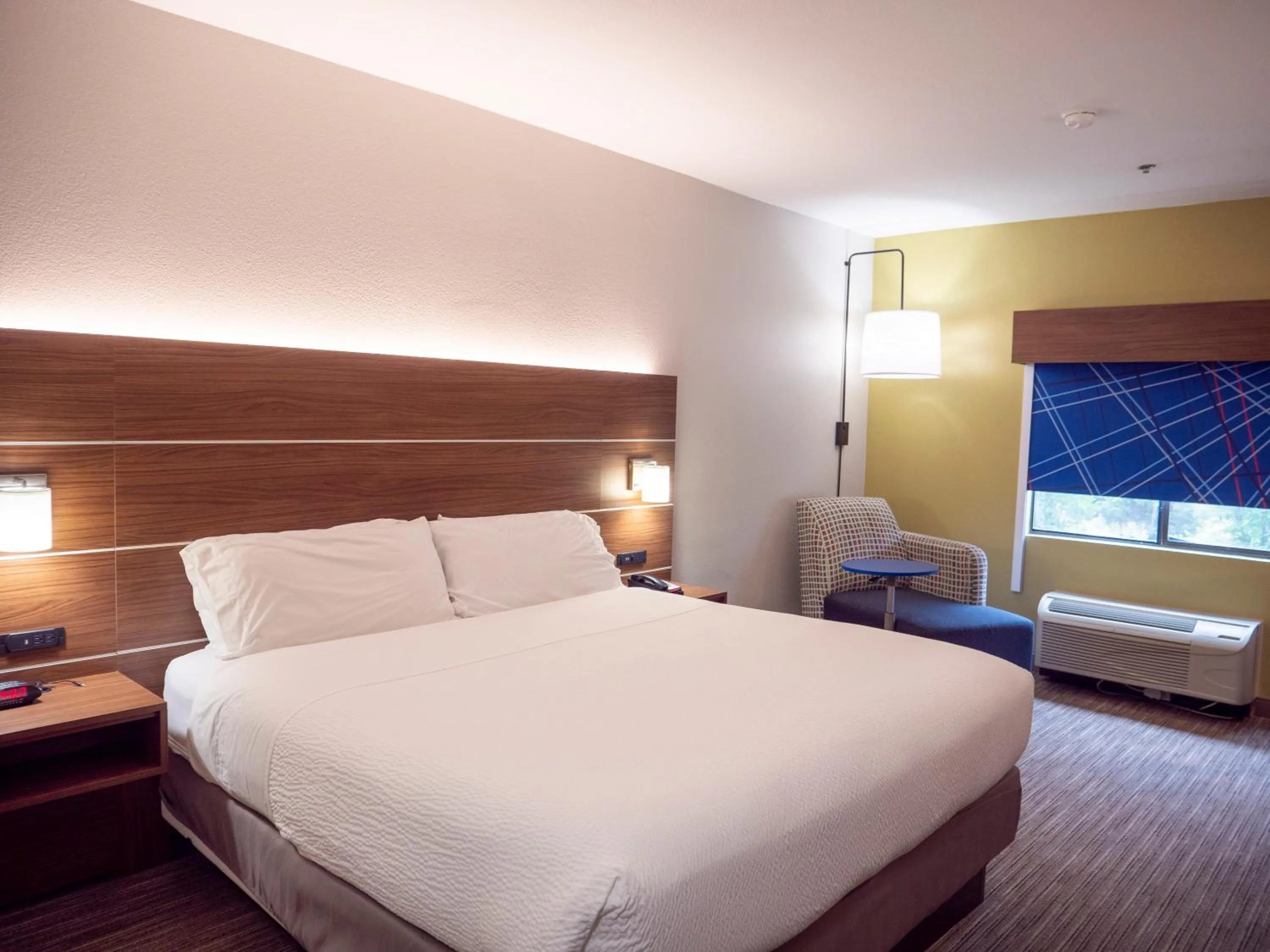 Photo of the whole room, Bed in Holiday Inn Express & Suites Greenville Airport i85 by IHG