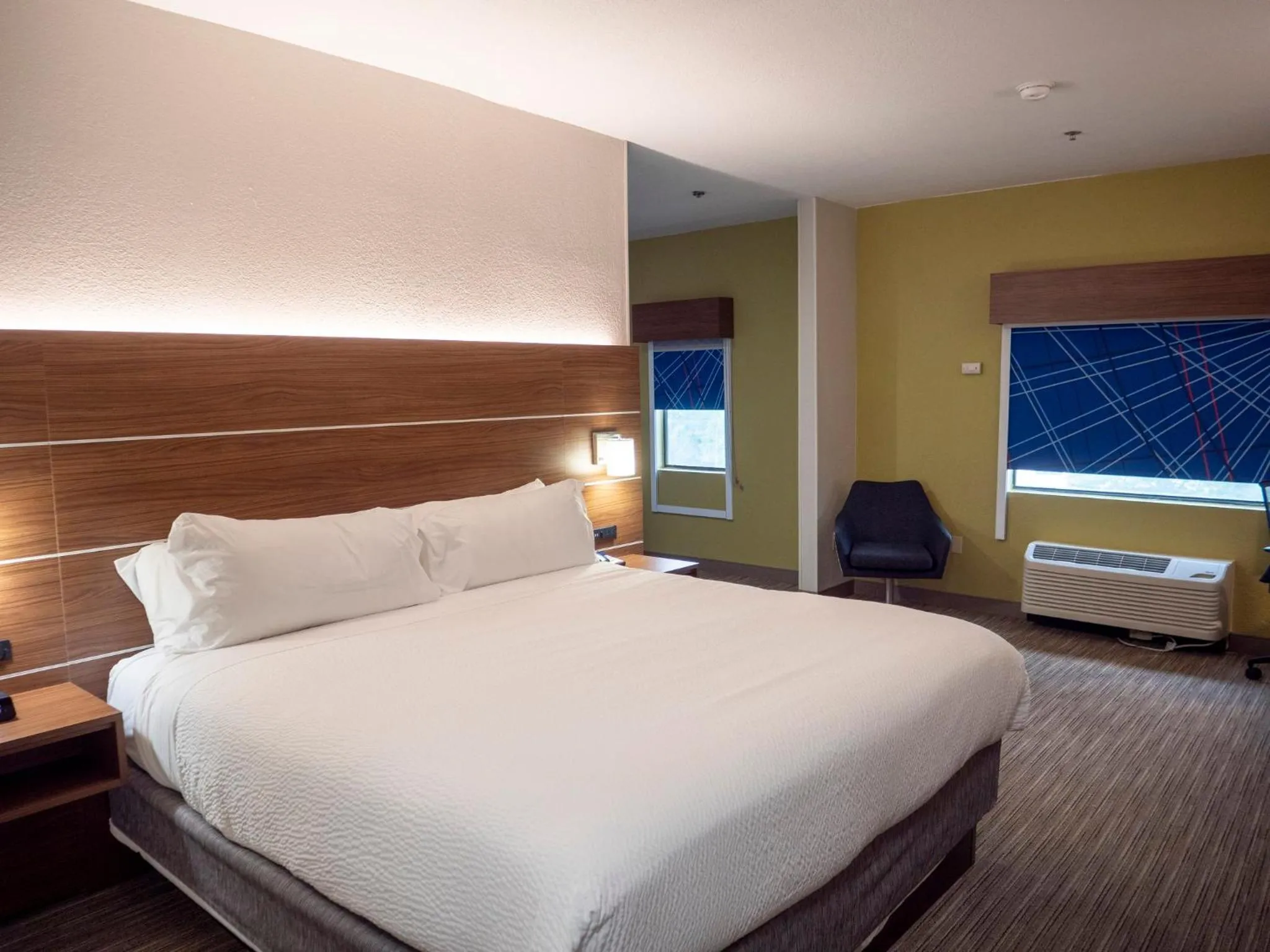 Photo of the whole room, Bed in Holiday Inn Express & Suites Greenville Airport i85 by IHG