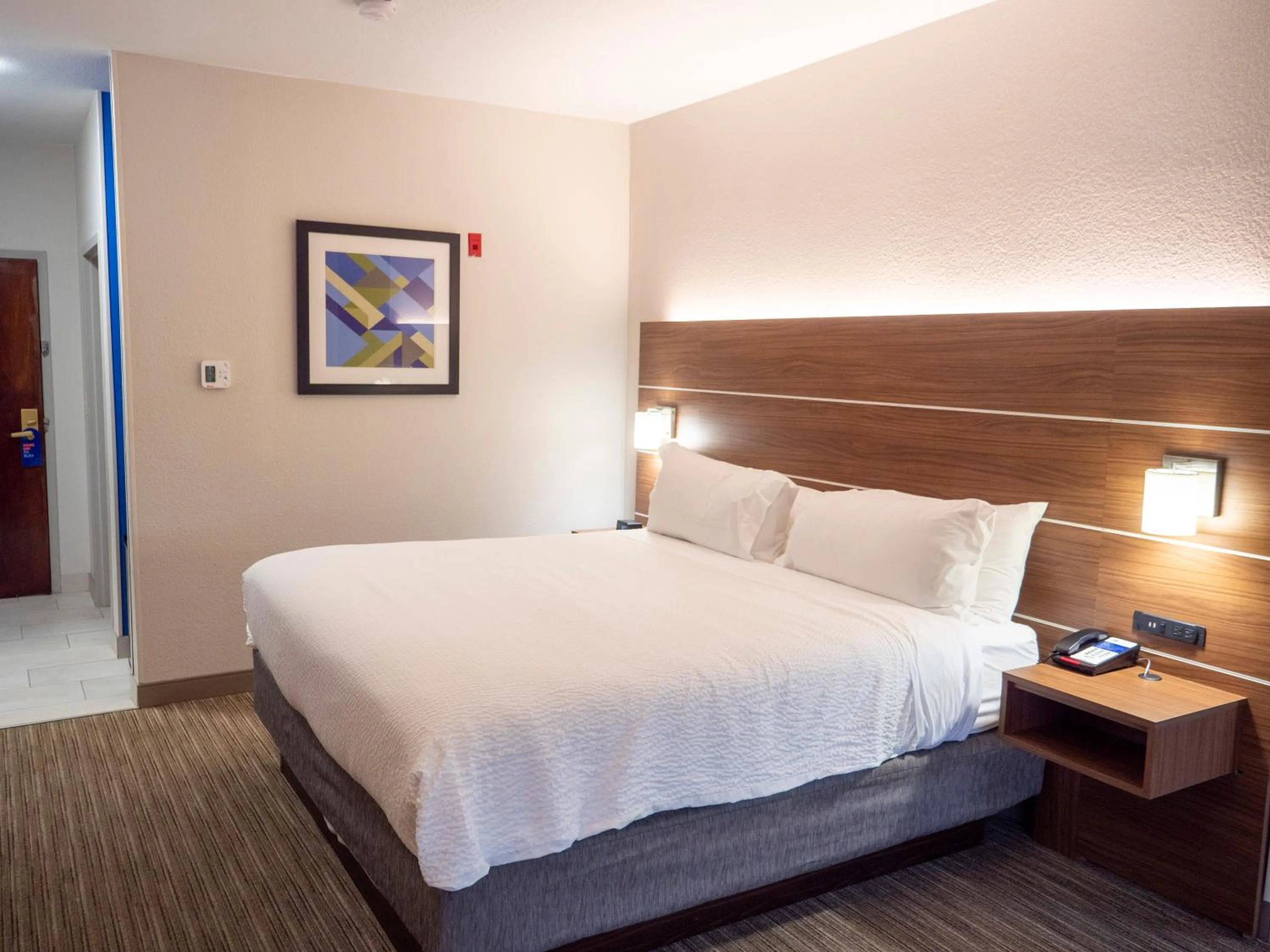 Photo of the whole room, Bed in Holiday Inn Express & Suites Greenville Airport i85 by IHG