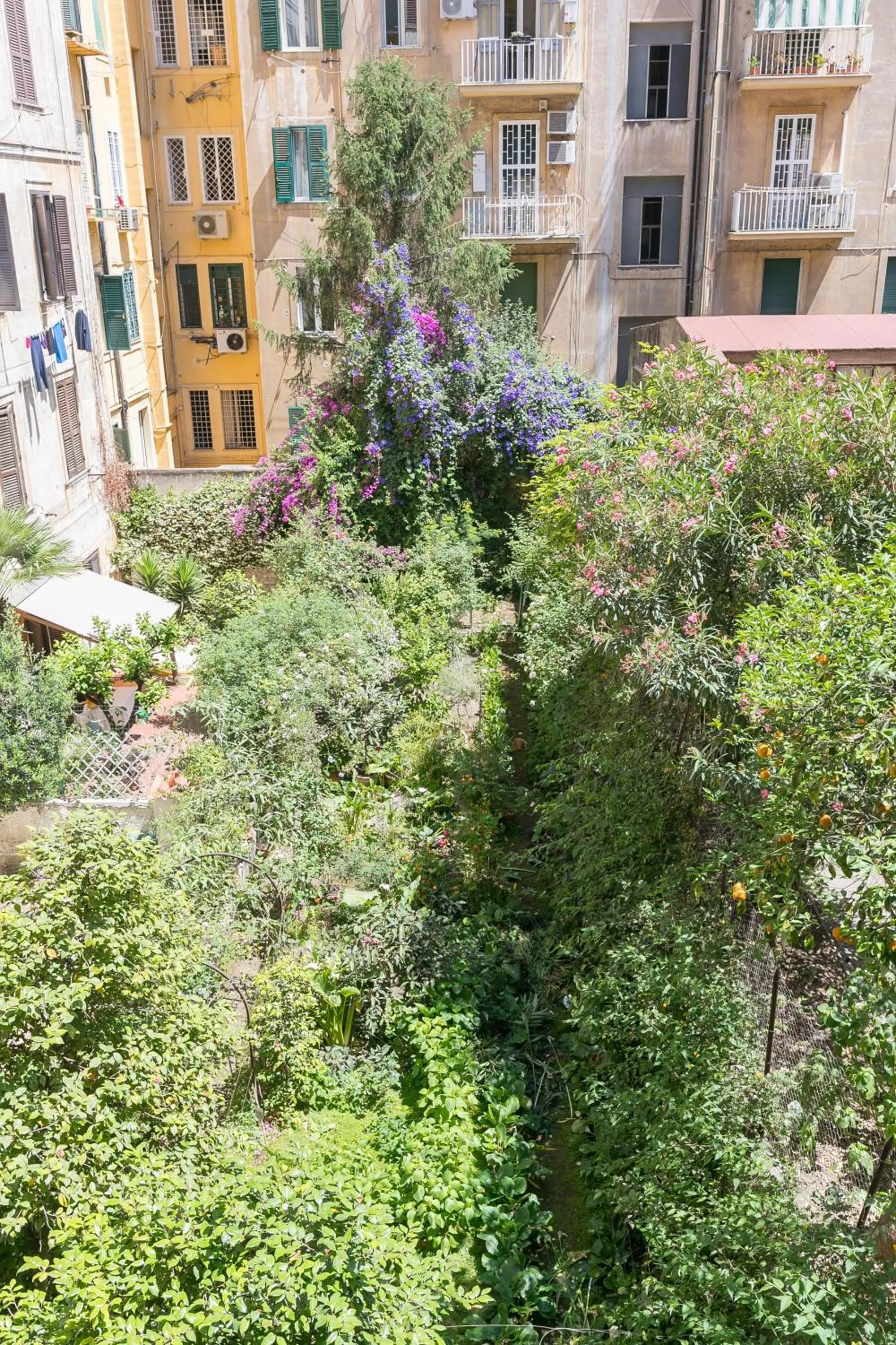 Inner courtyard view in Queen Meg Roma