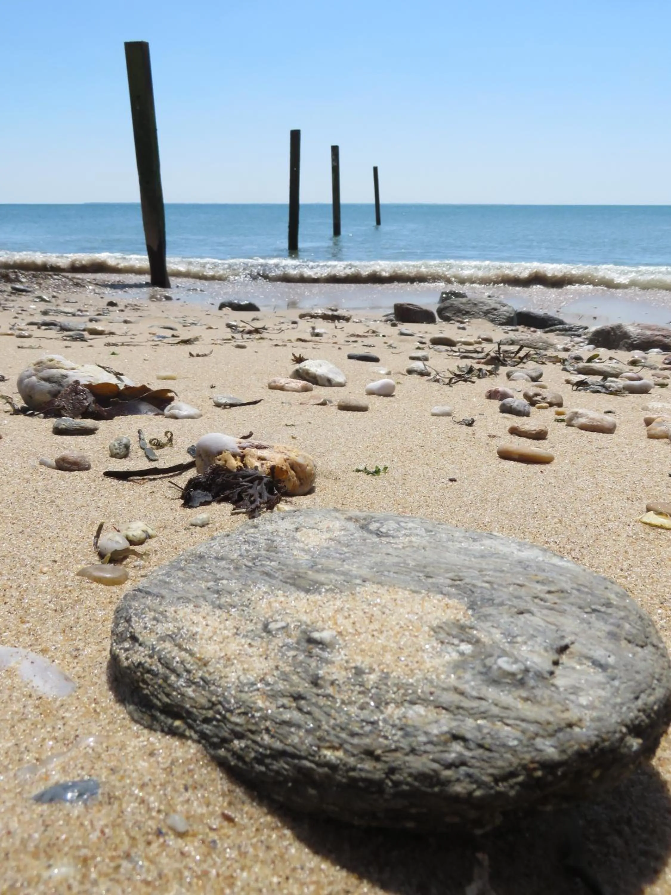 Beach in Logis Hôtel Le Calluna Restaurant La Flottille