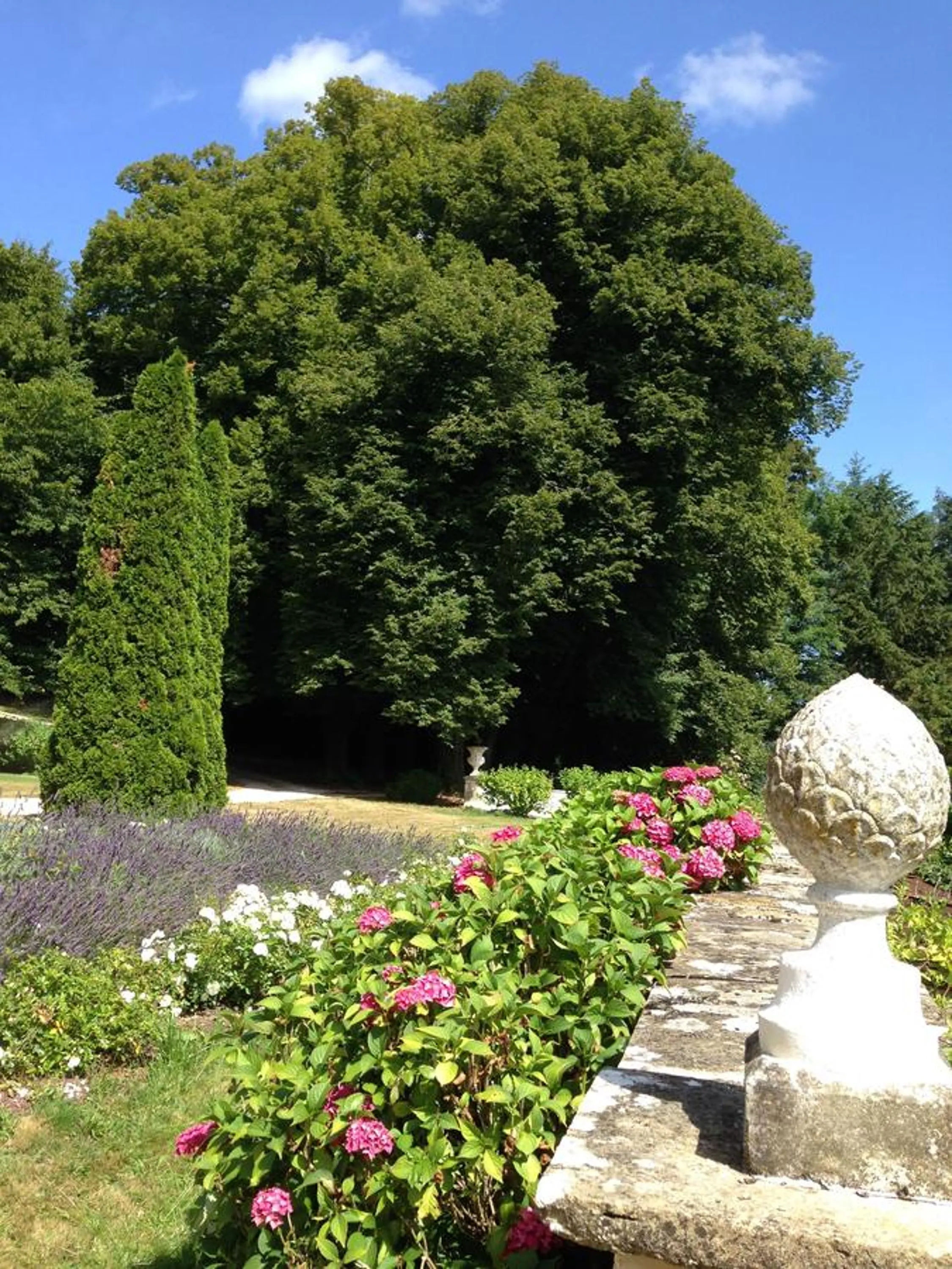 Decorative detail in Chateau de Moison, Domaine Eco Nature