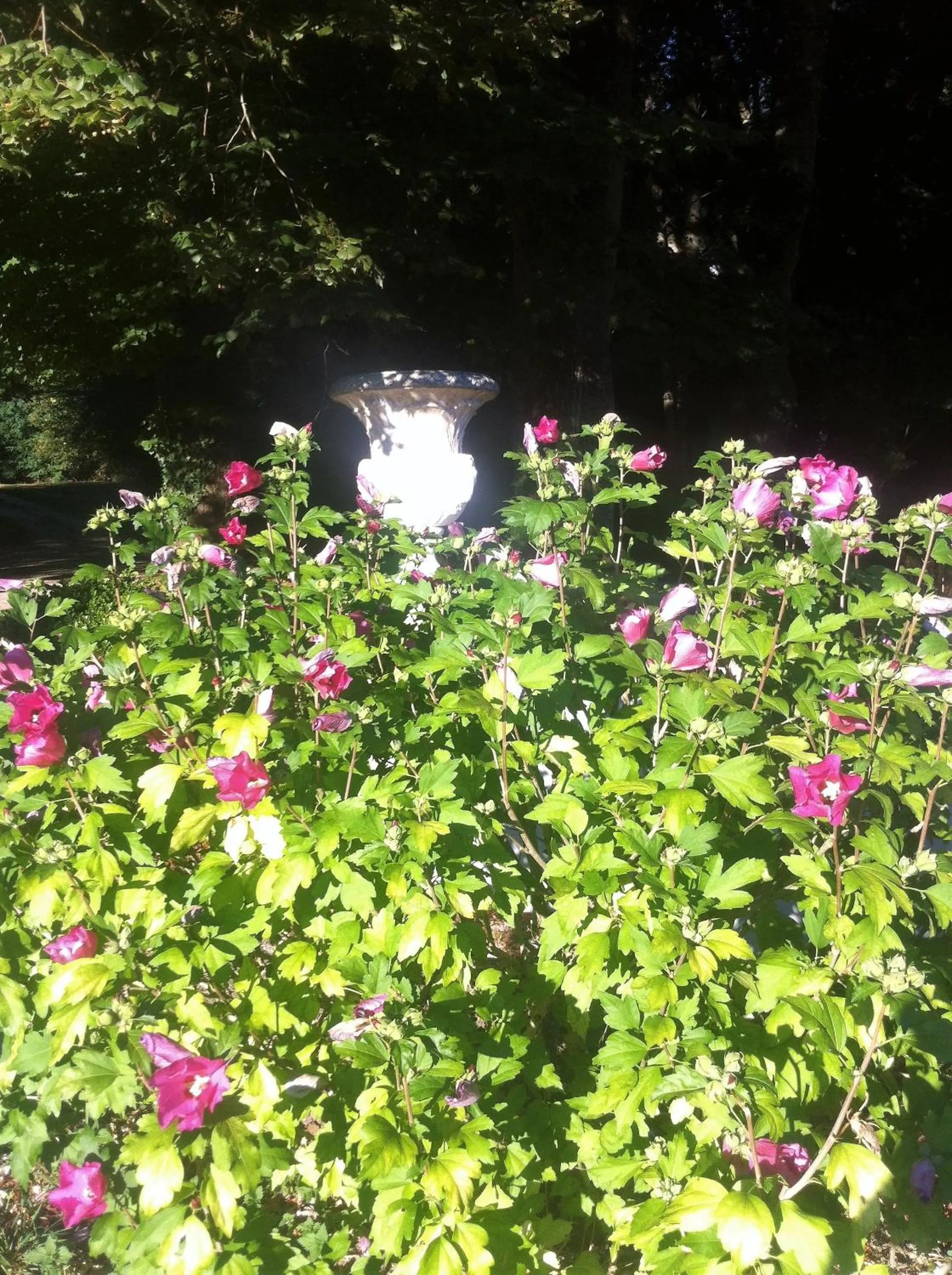 Chateau de Moison, Domaine Eco Nature