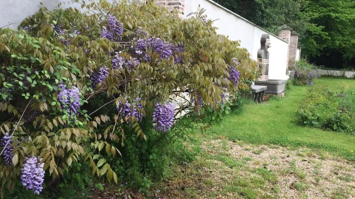 Chateau de Moison, Domaine Eco Nature