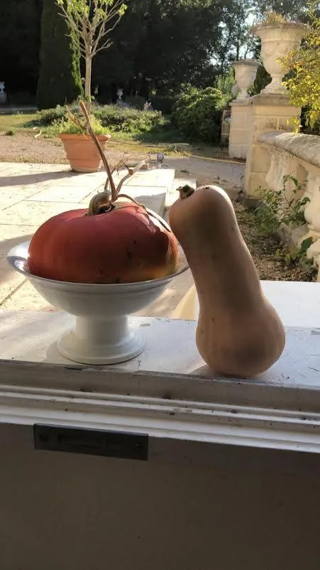 Chateau de Moison, Domaine Eco Nature