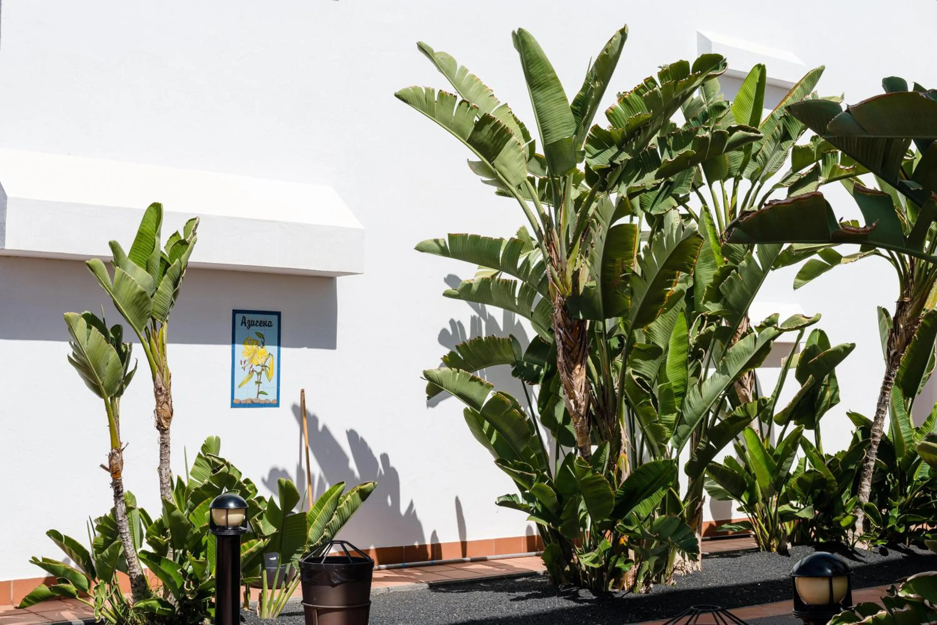 Garden in Plus Fariones Apartamentos