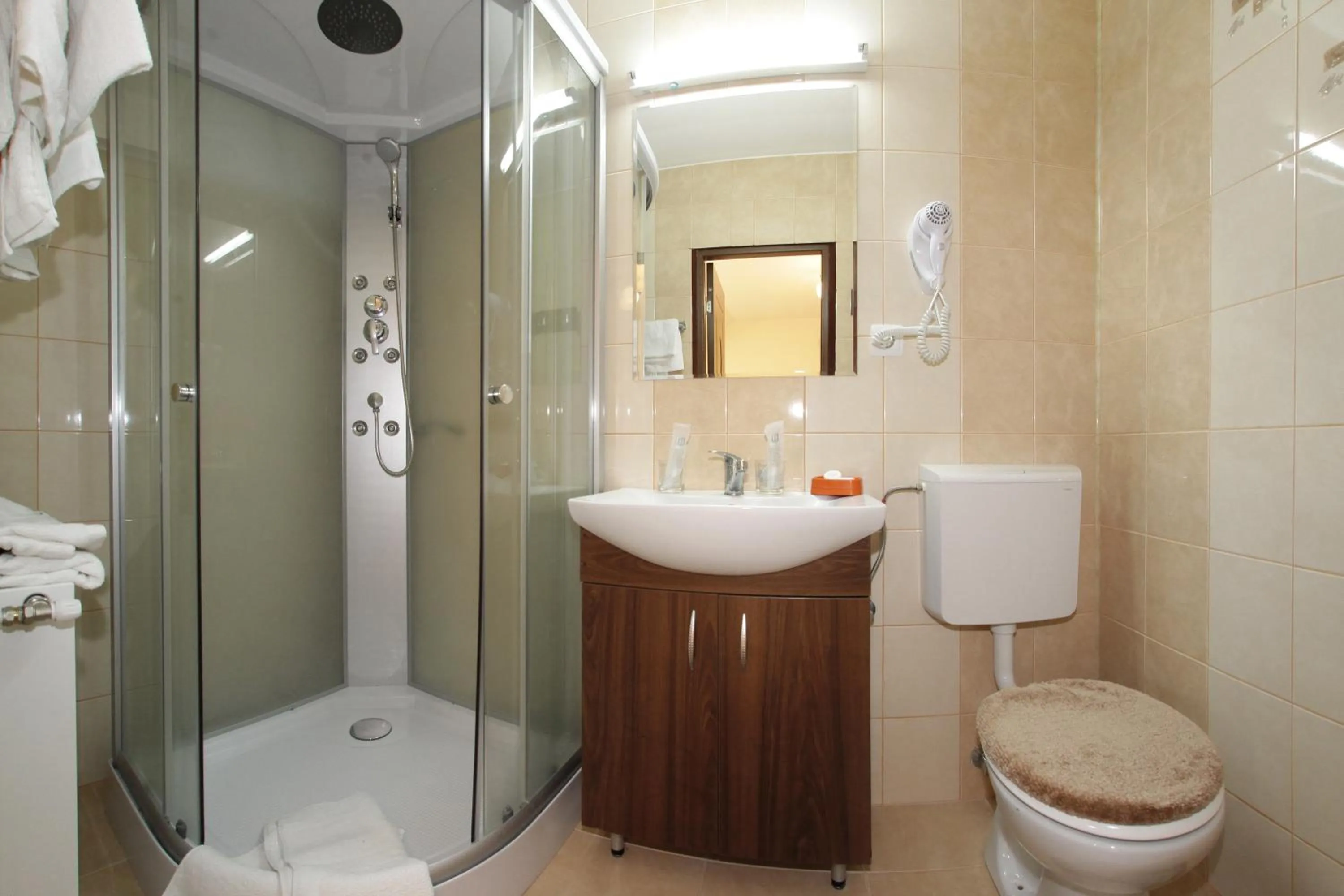 Bathroom in Pensiunea Muresul