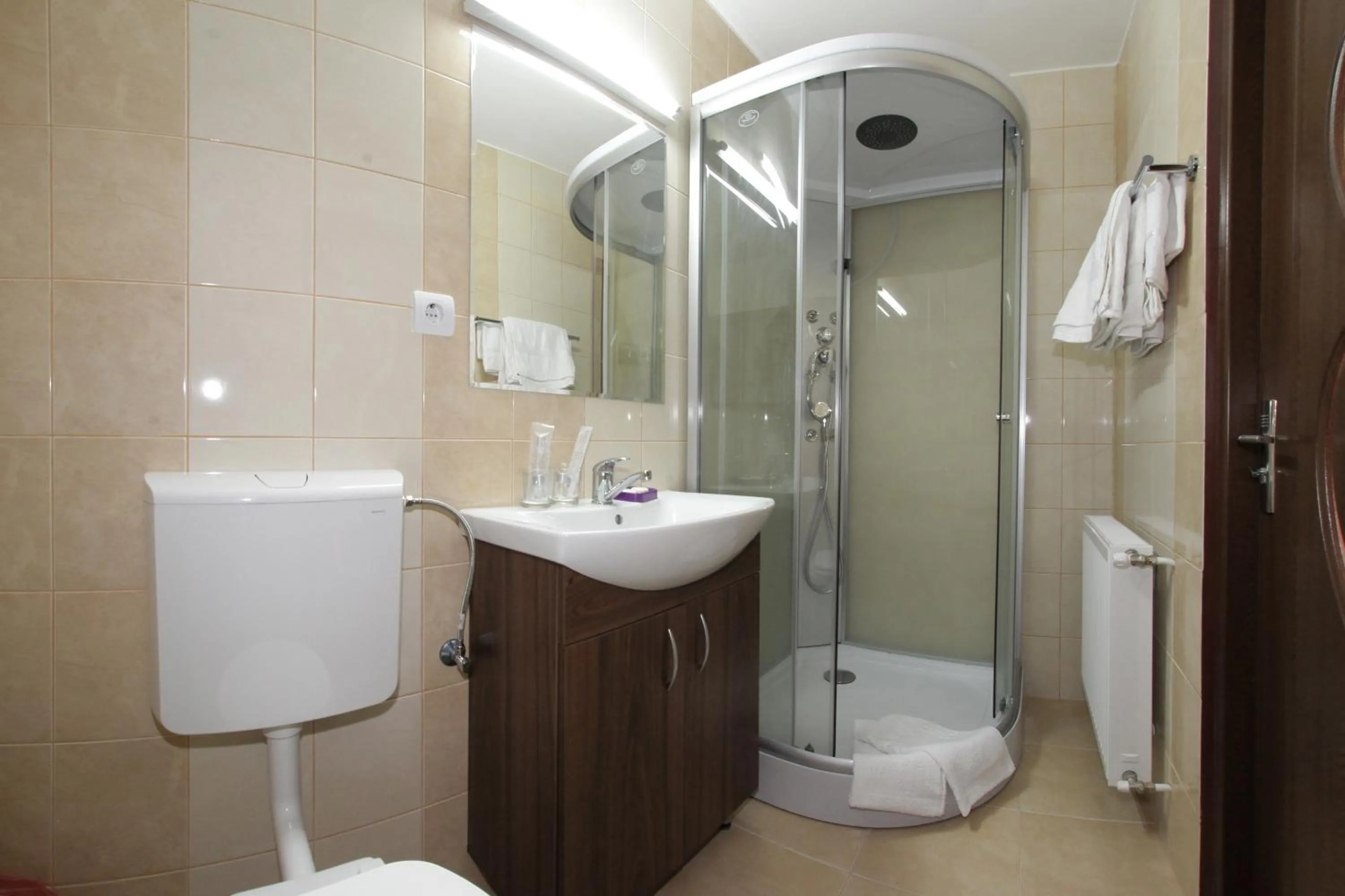 Bathroom in Pensiunea Muresul