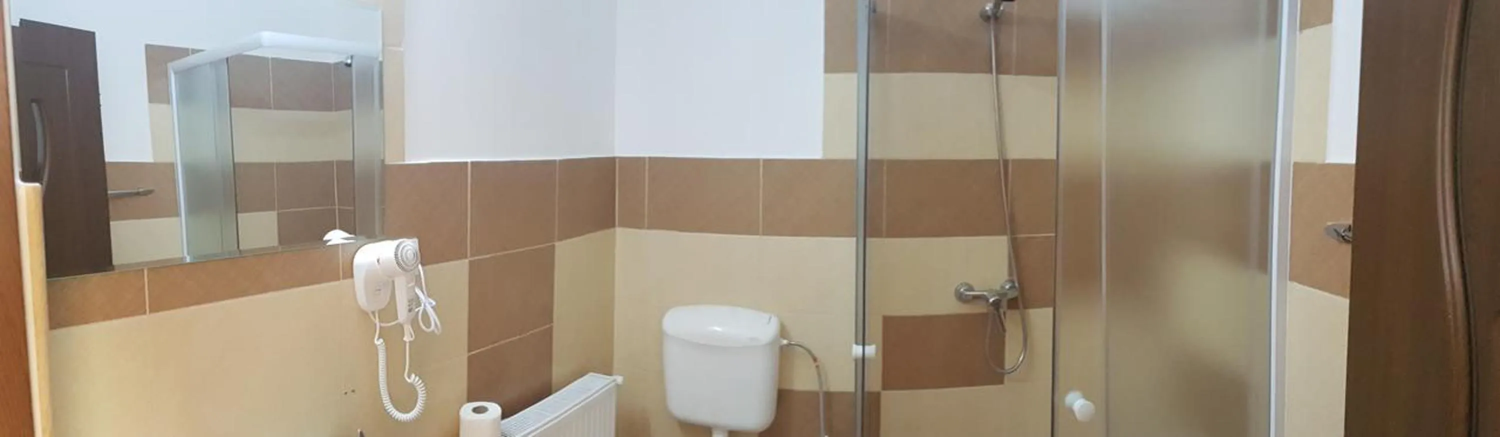 Bathroom in Pensiunea Muresul