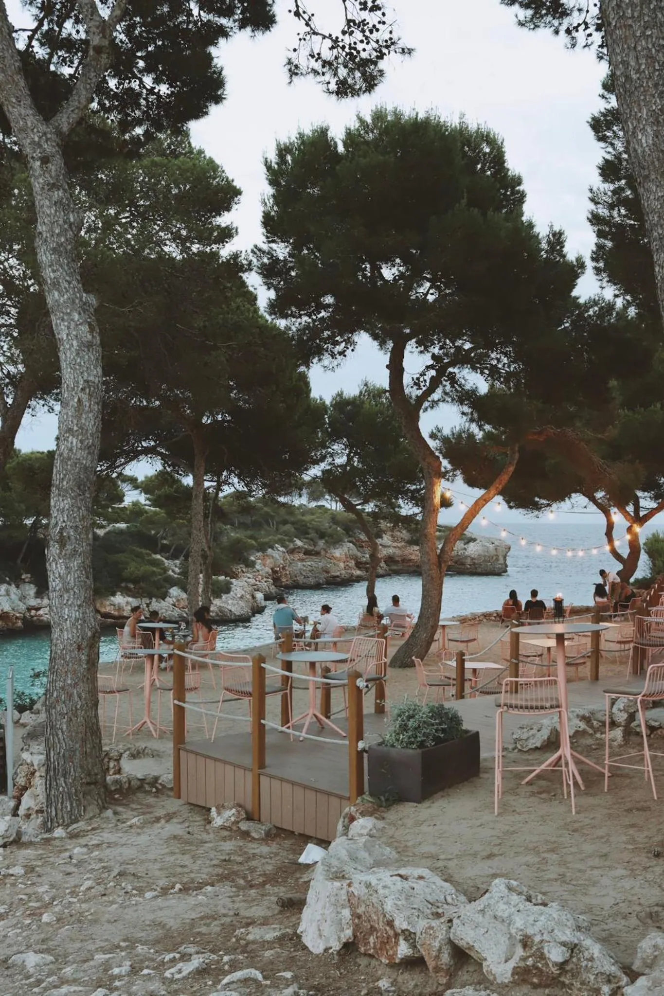 Food and drinks in Inturotel Cala Esmeralda Beach Hotel & Spa - Adults Only