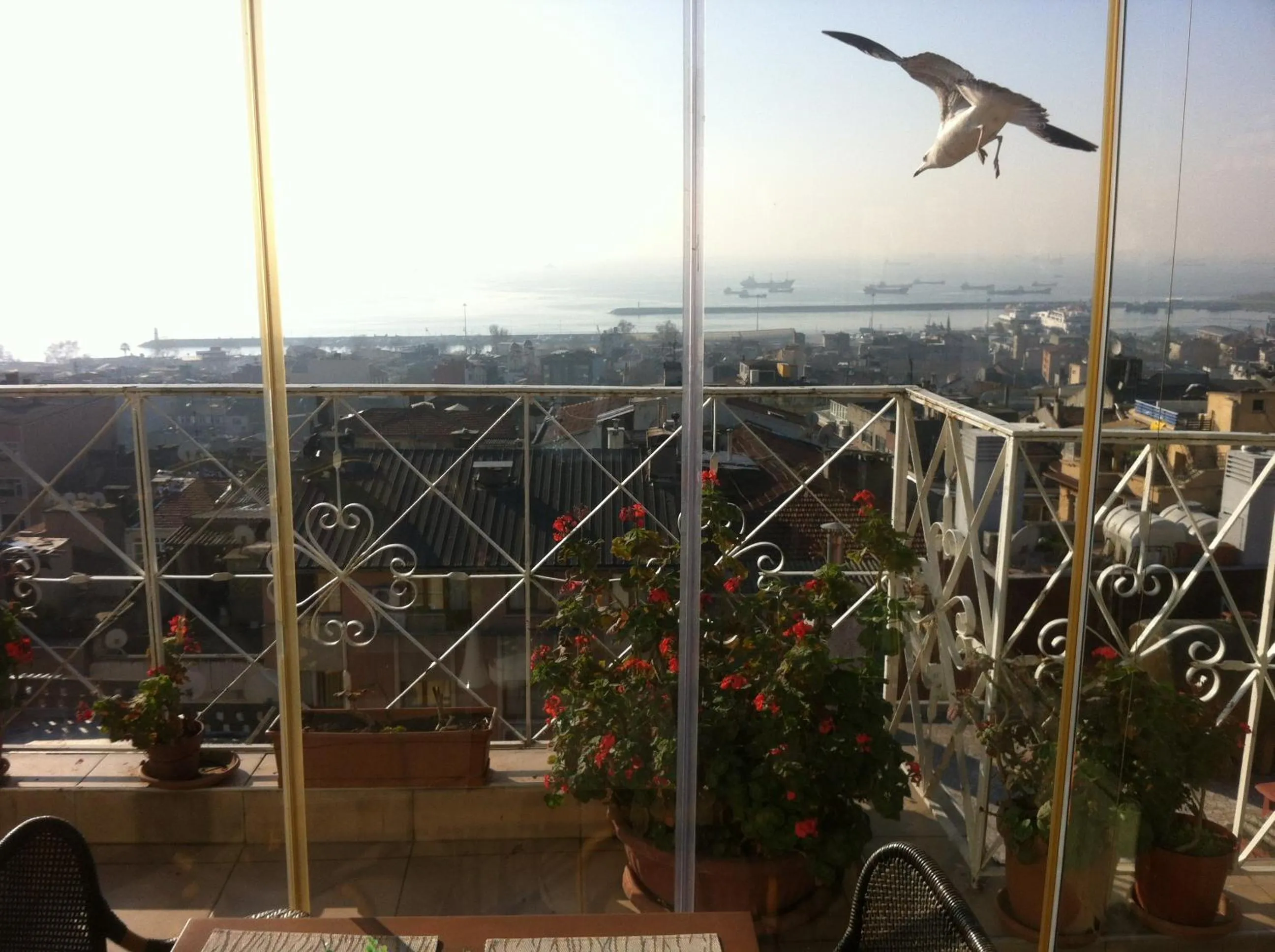 Balcony/Terrace in Hotel Linda