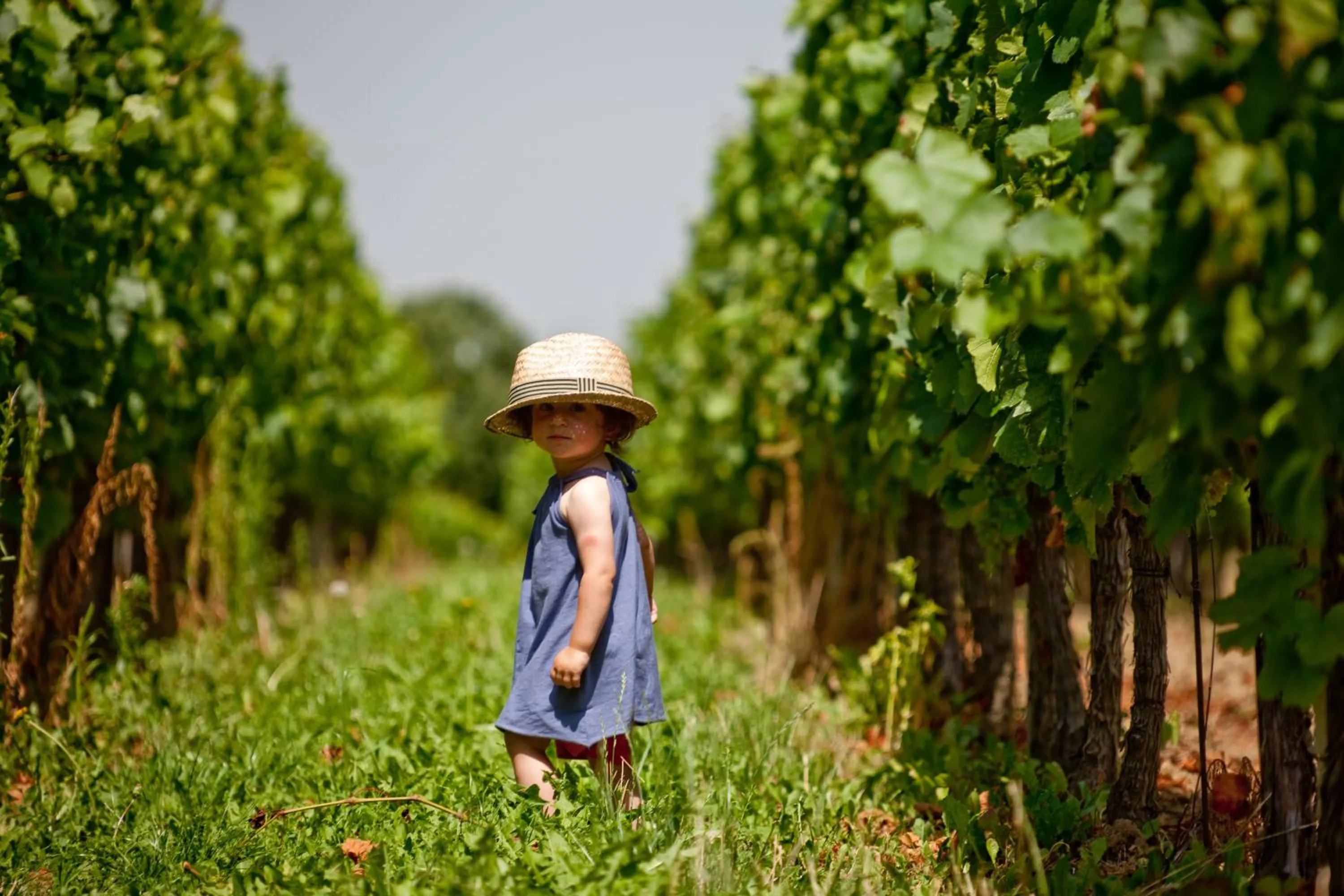 Natural landscape in All in Red Thermenhotel