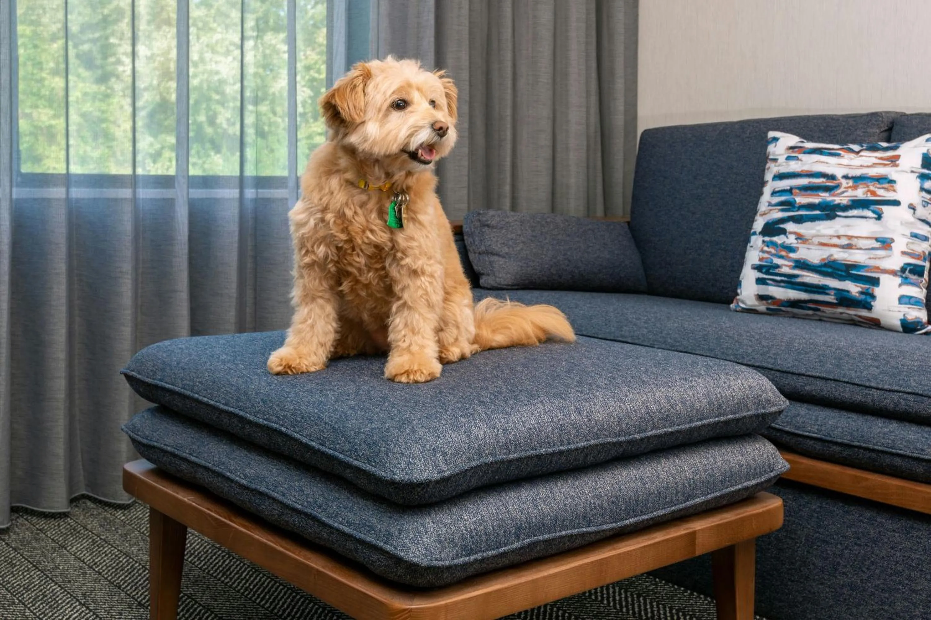 Other in Courtyard by Marriott Danbury