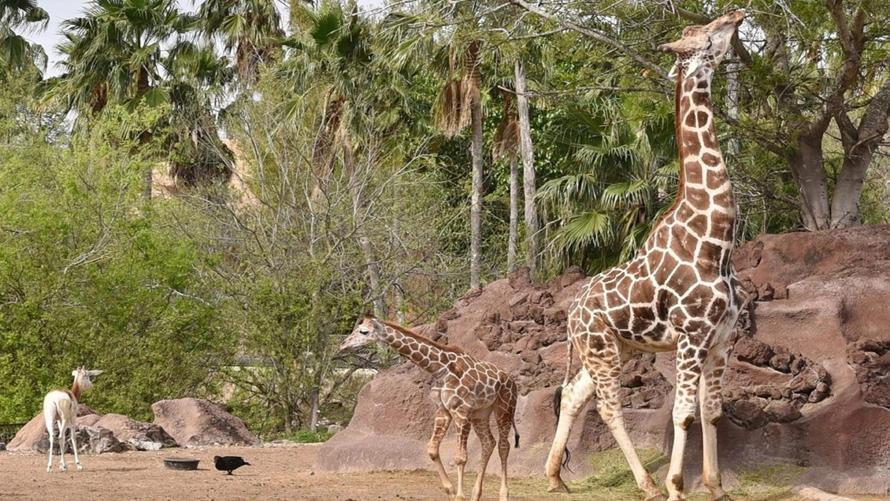 Nearby landmark in Holiday Inn Express Hotel and Suites Brownsville by IHG