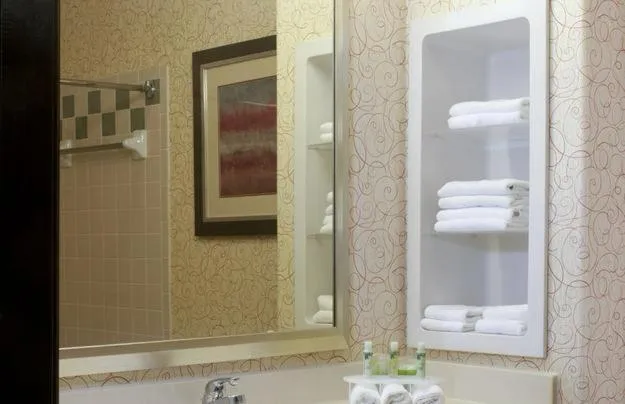 Bathroom in Holiday Inn Express Hotel and Suites Brownsville by IHG