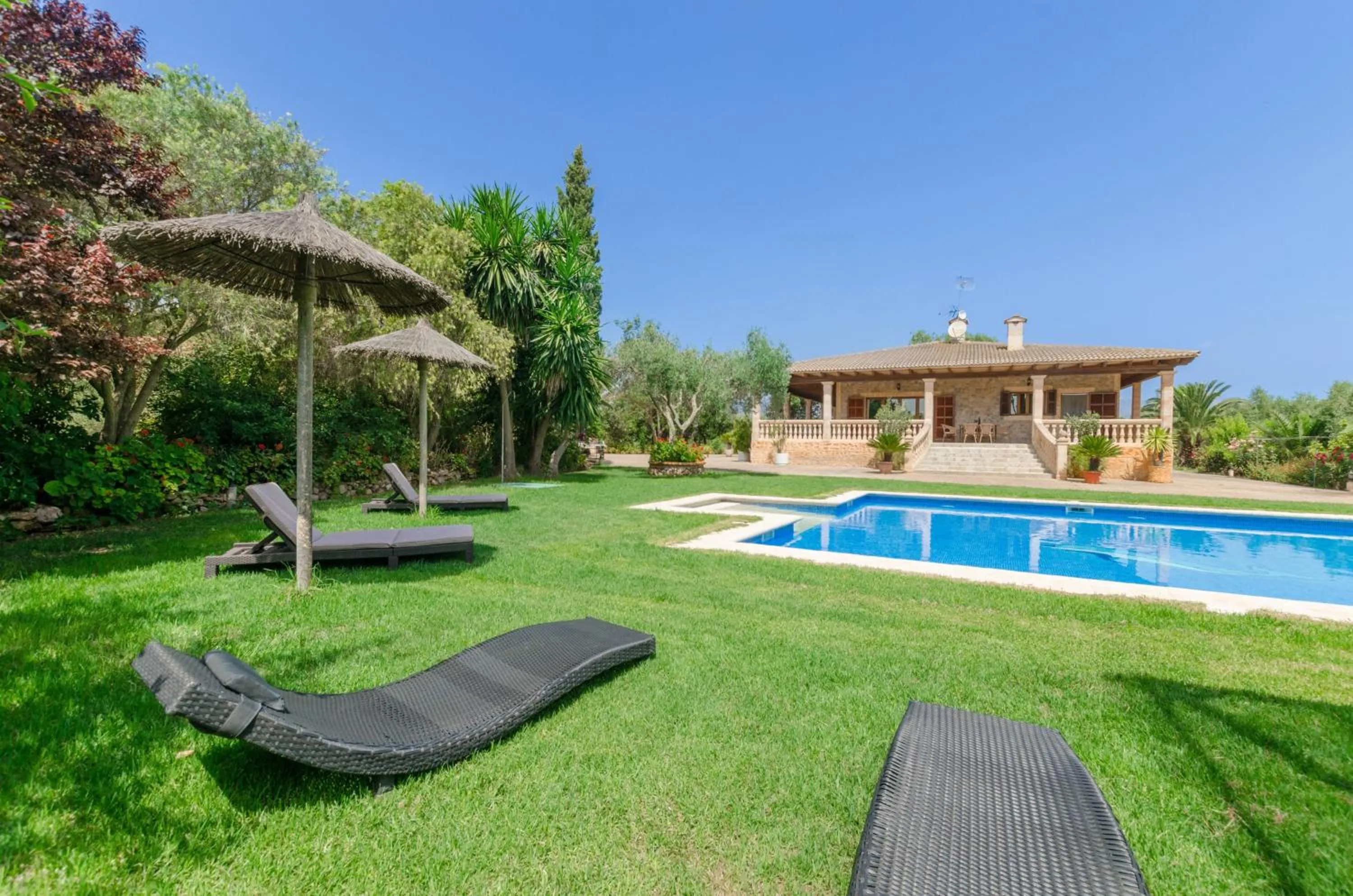 Garden in Ca'n Berguins