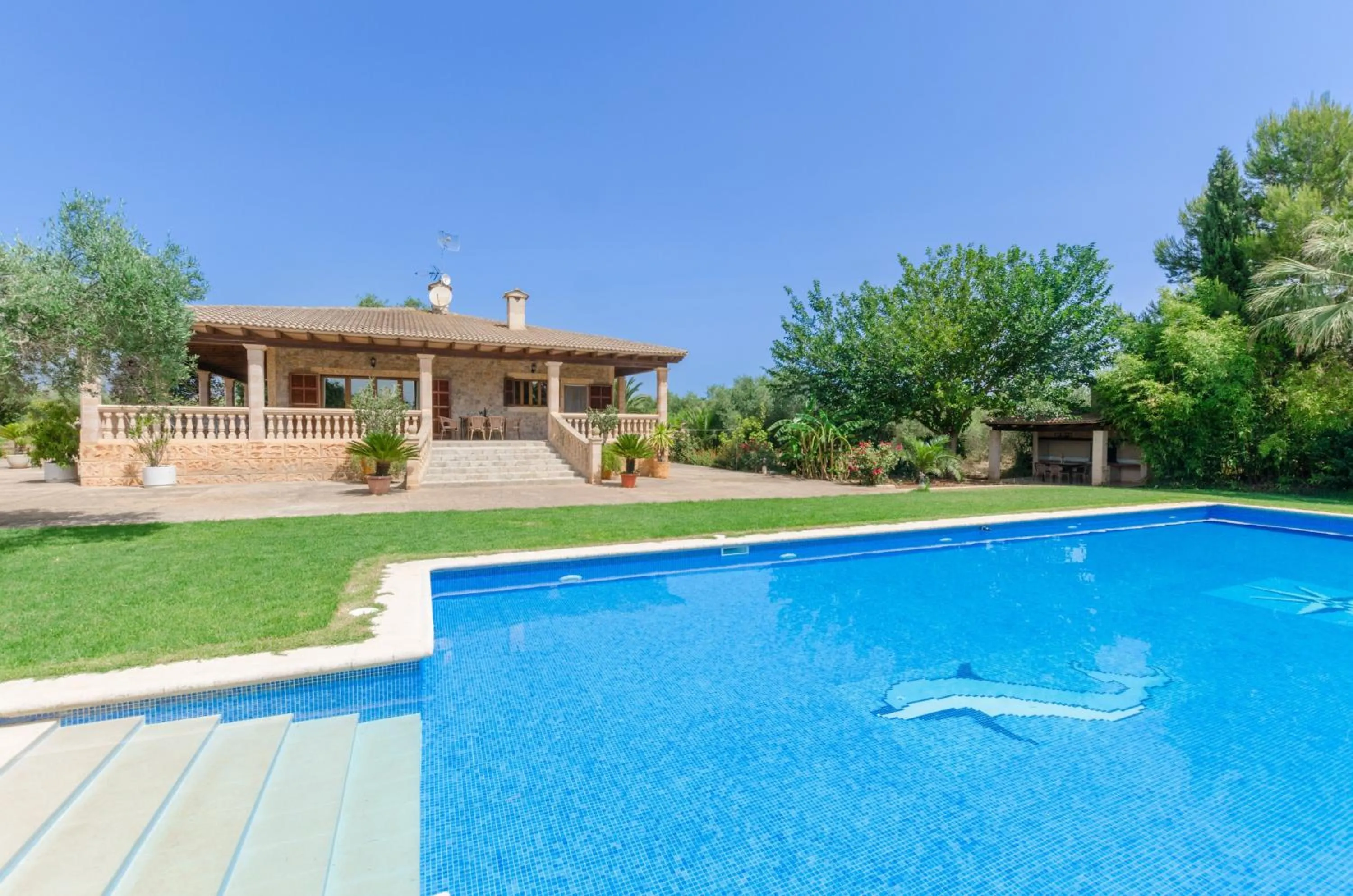 Swimming pool in Ca'n Berguins