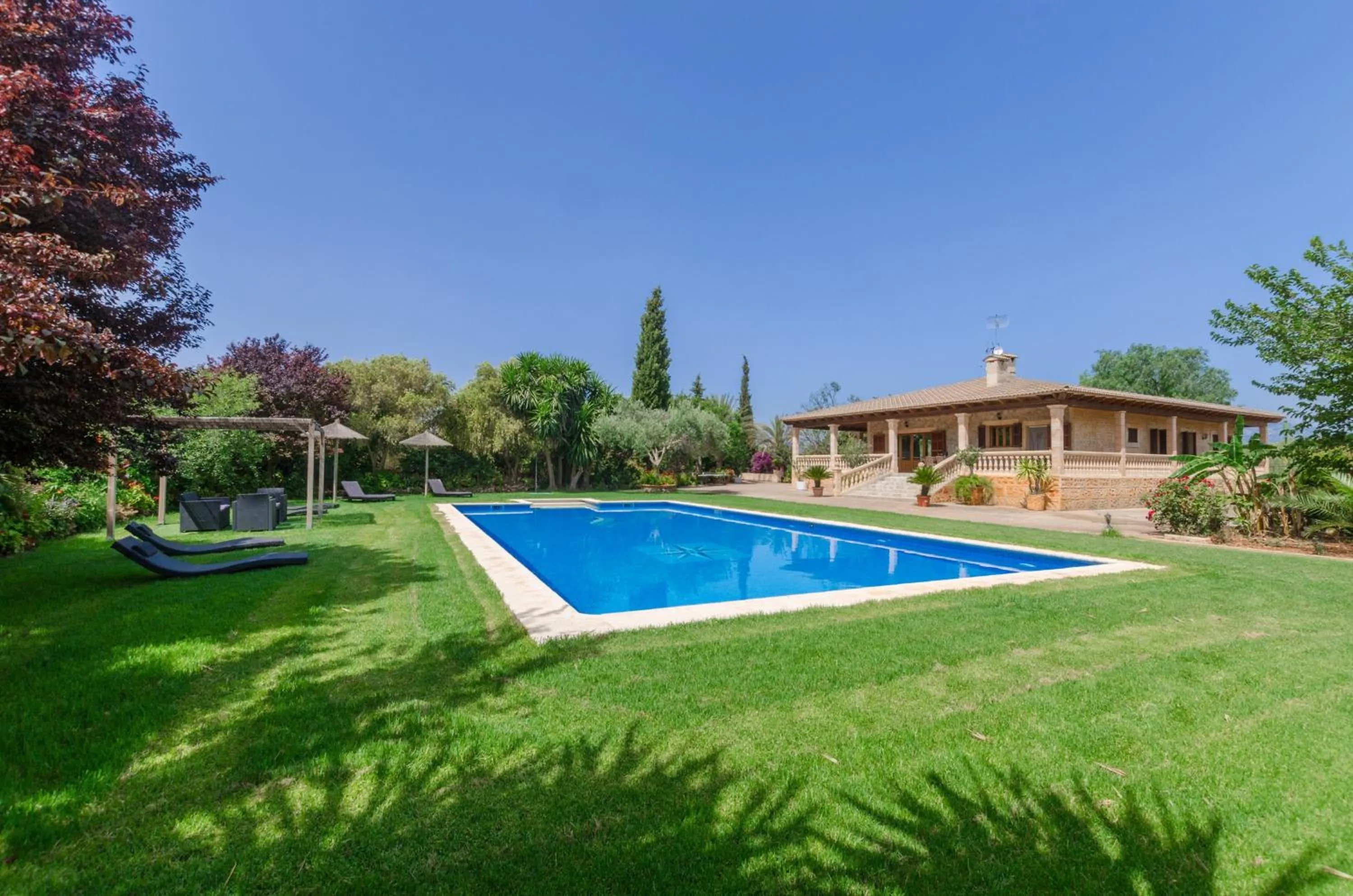 Swimming pool in Ca'n Berguins