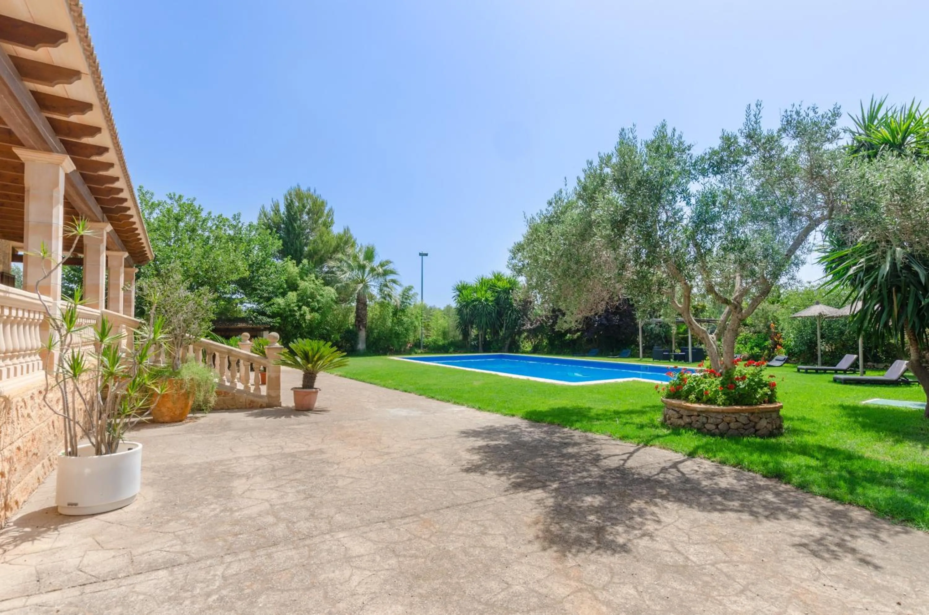 Garden in Ca'n Berguins