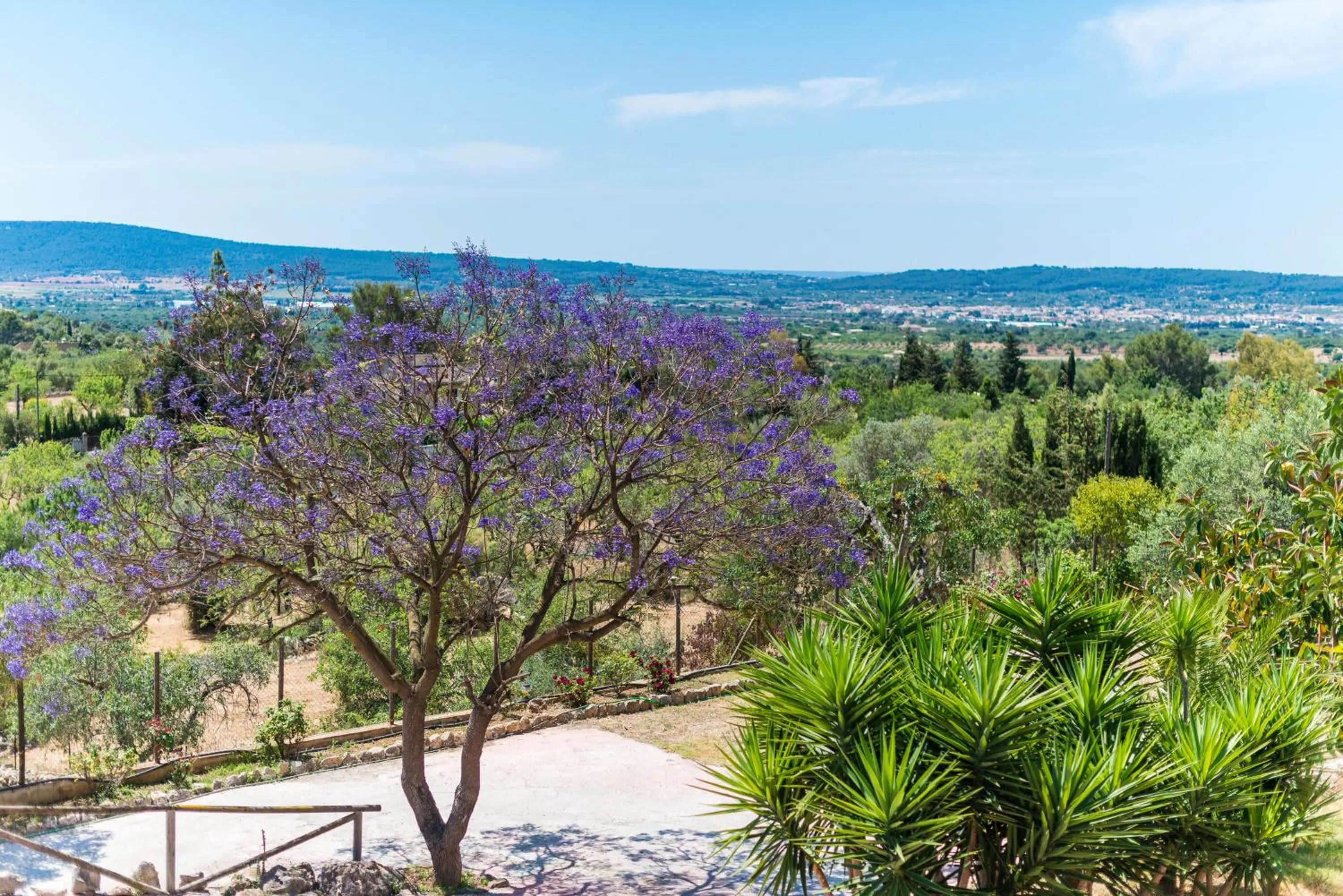 Garden view in Es Pinar