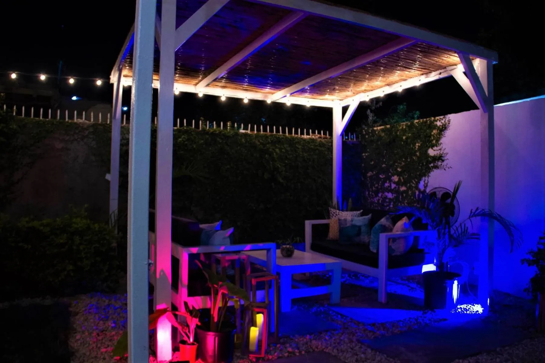 Garden in Eventuality B&B New Kingston