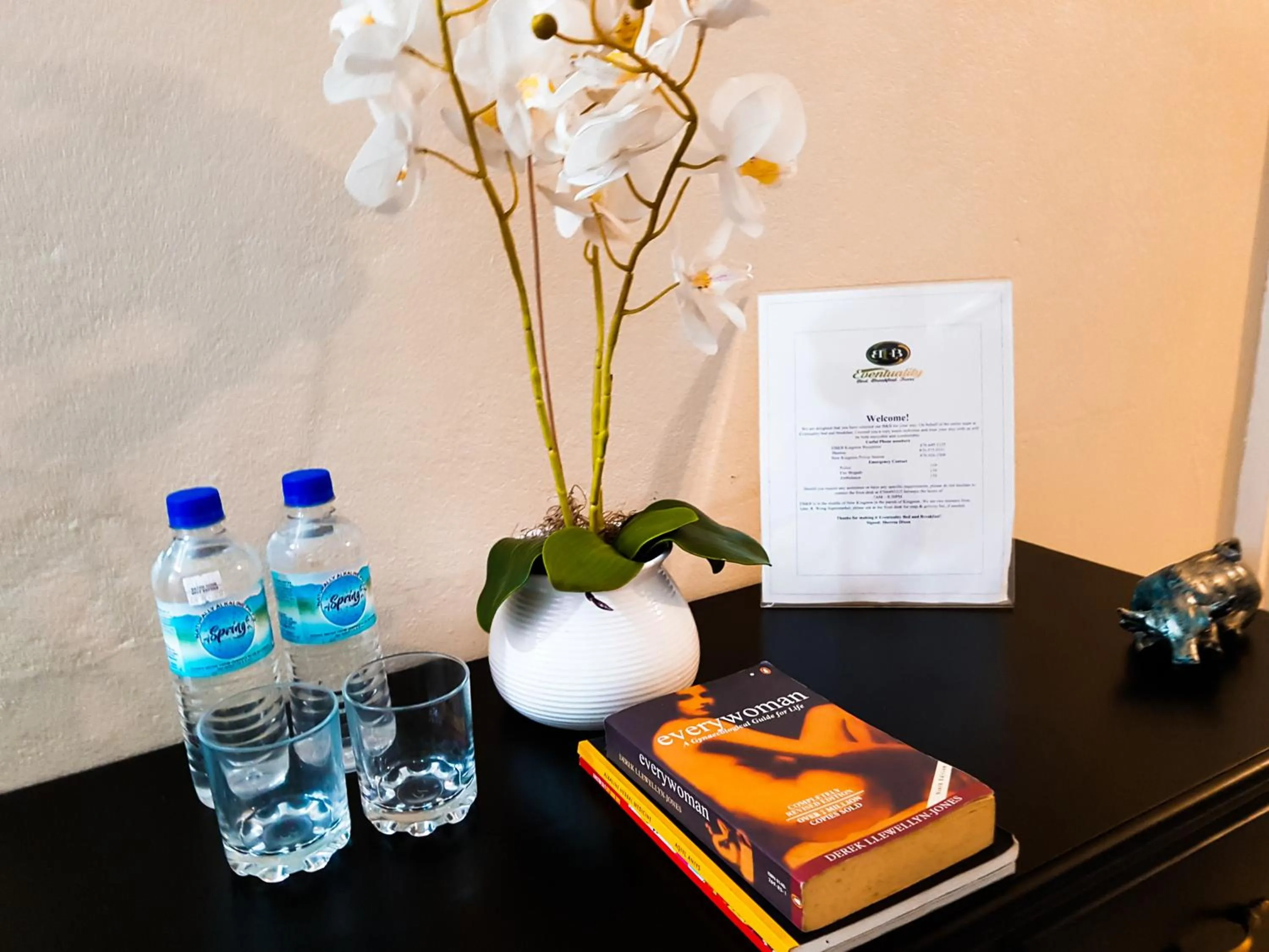 Decorative detail in Eventuality B&B New Kingston