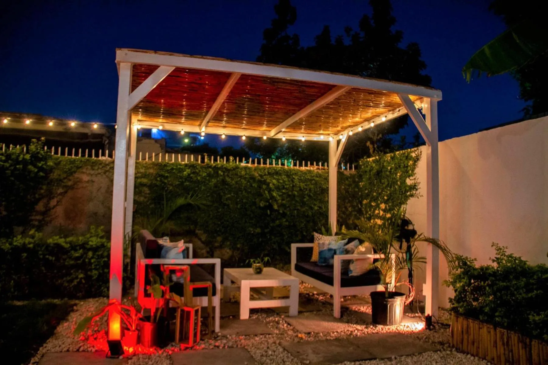 Garden in Eventuality B&B New Kingston