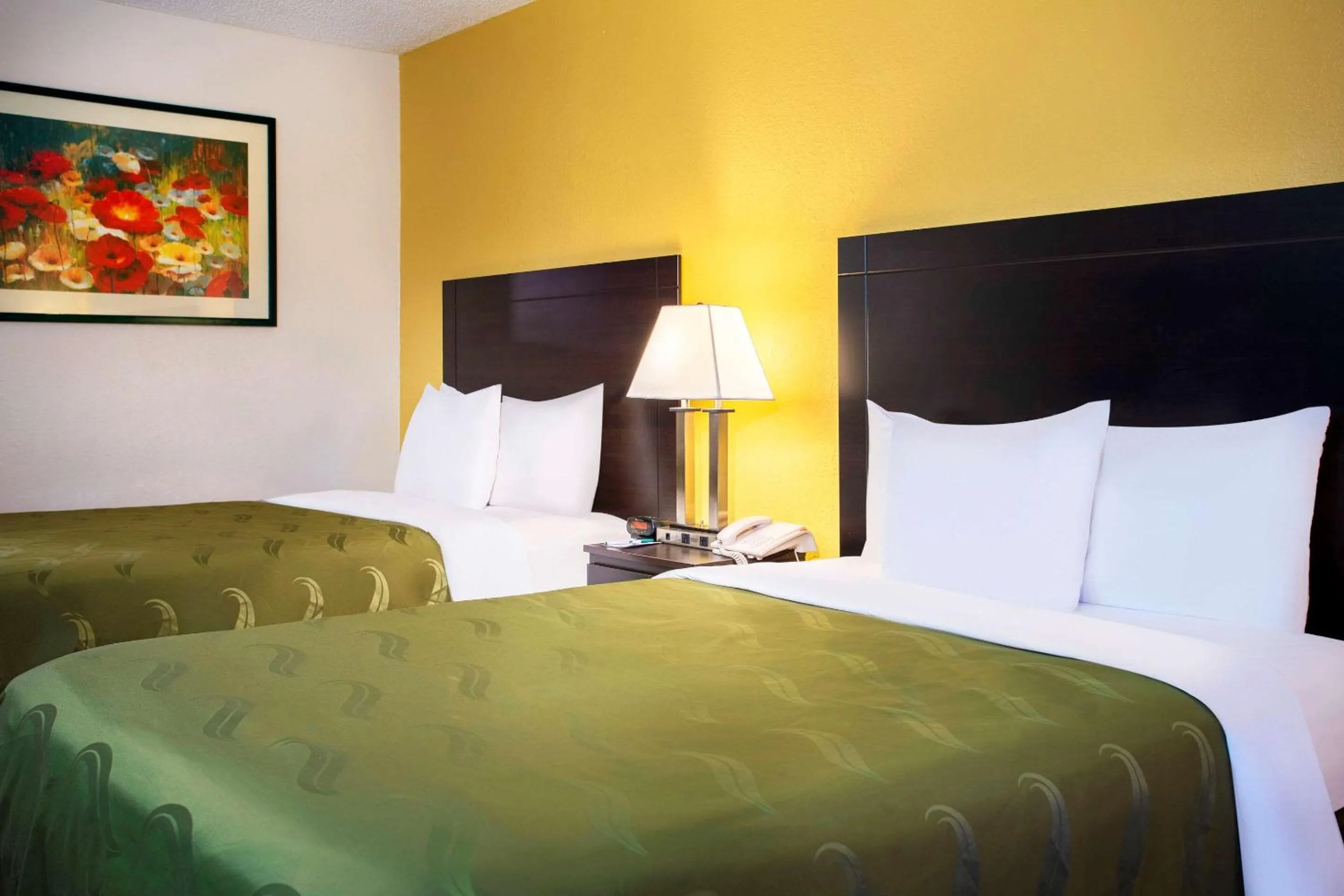 Photo of the whole room, Bed in Quality Inn at Arlington Highlands