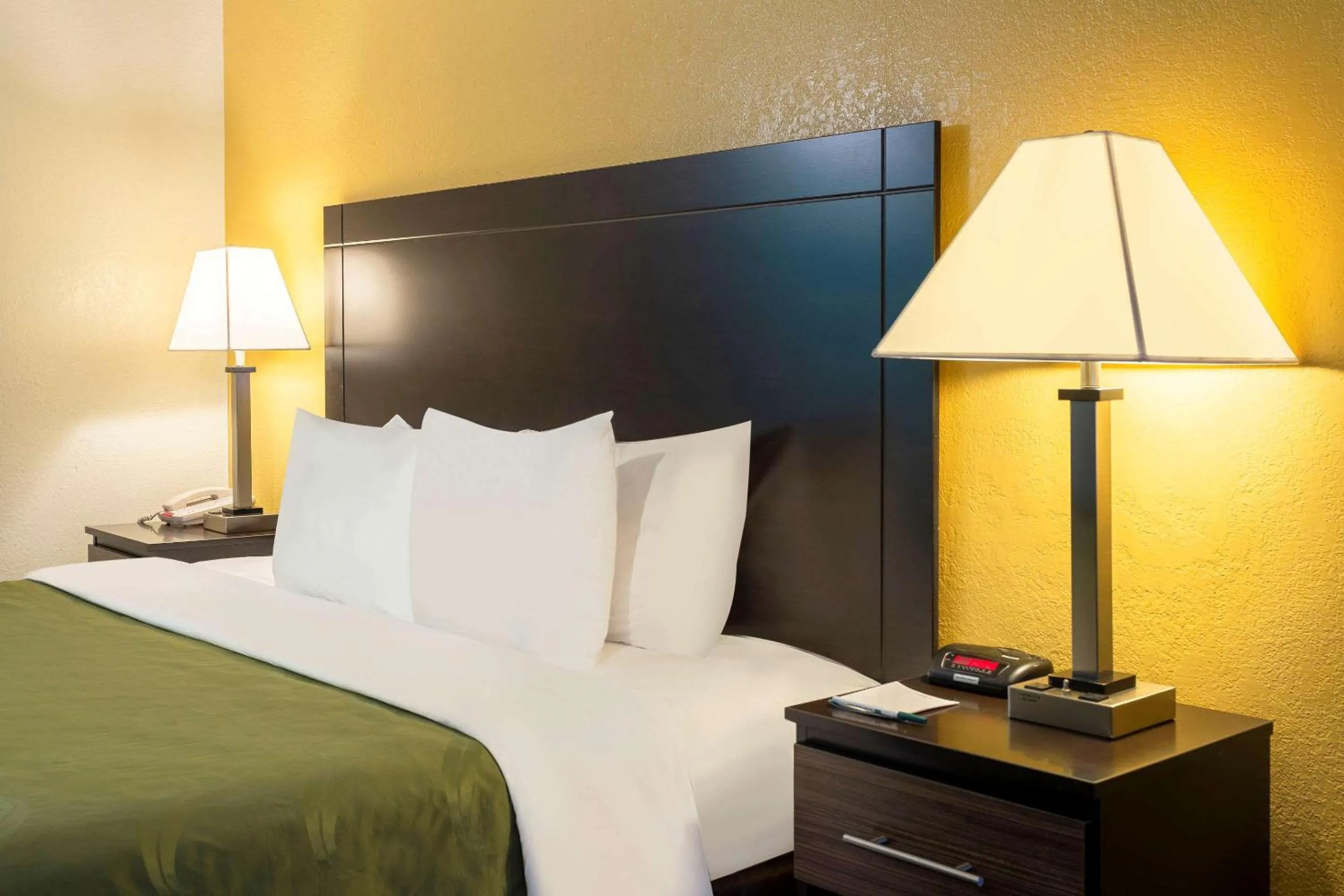 Photo of the whole room, Bed in Quality Inn at Arlington Highlands