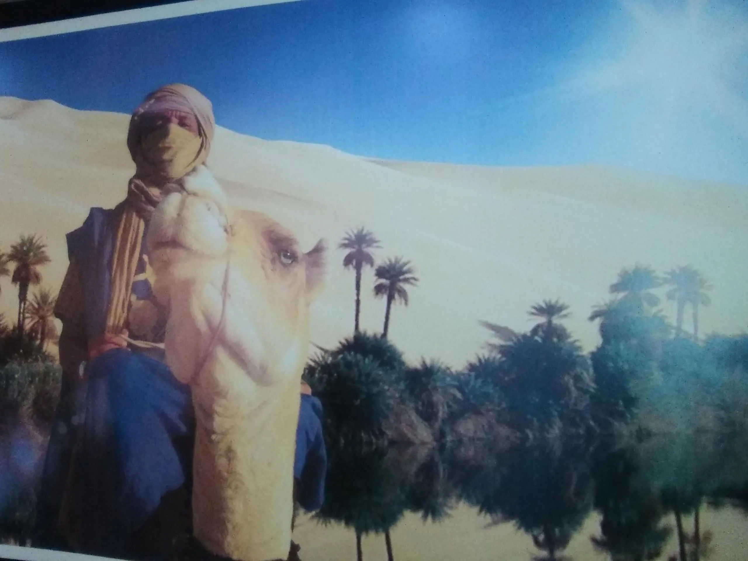 On site in Hotel Rimal Sahara