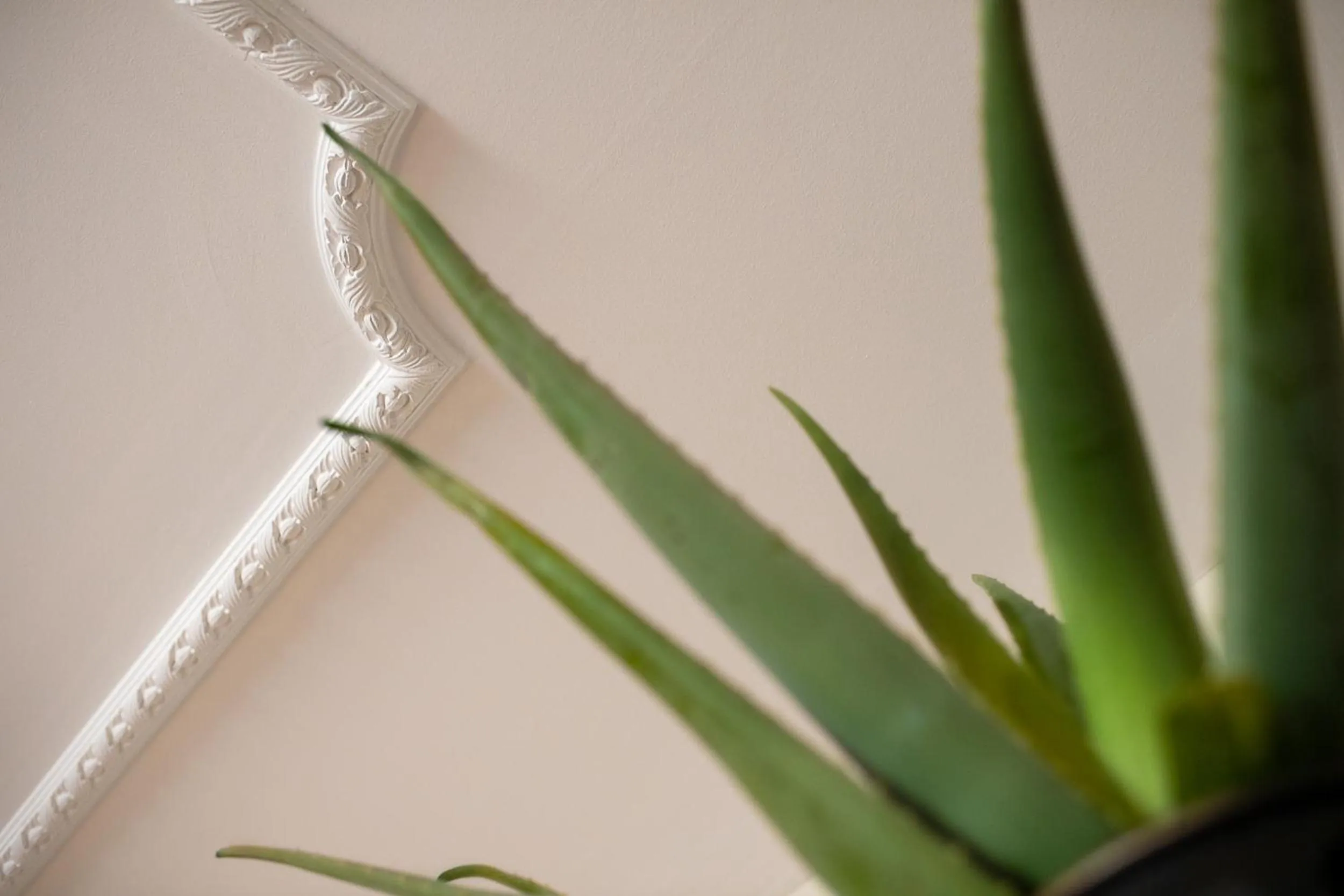 Decorative detail in ADLER Boutique Hotel