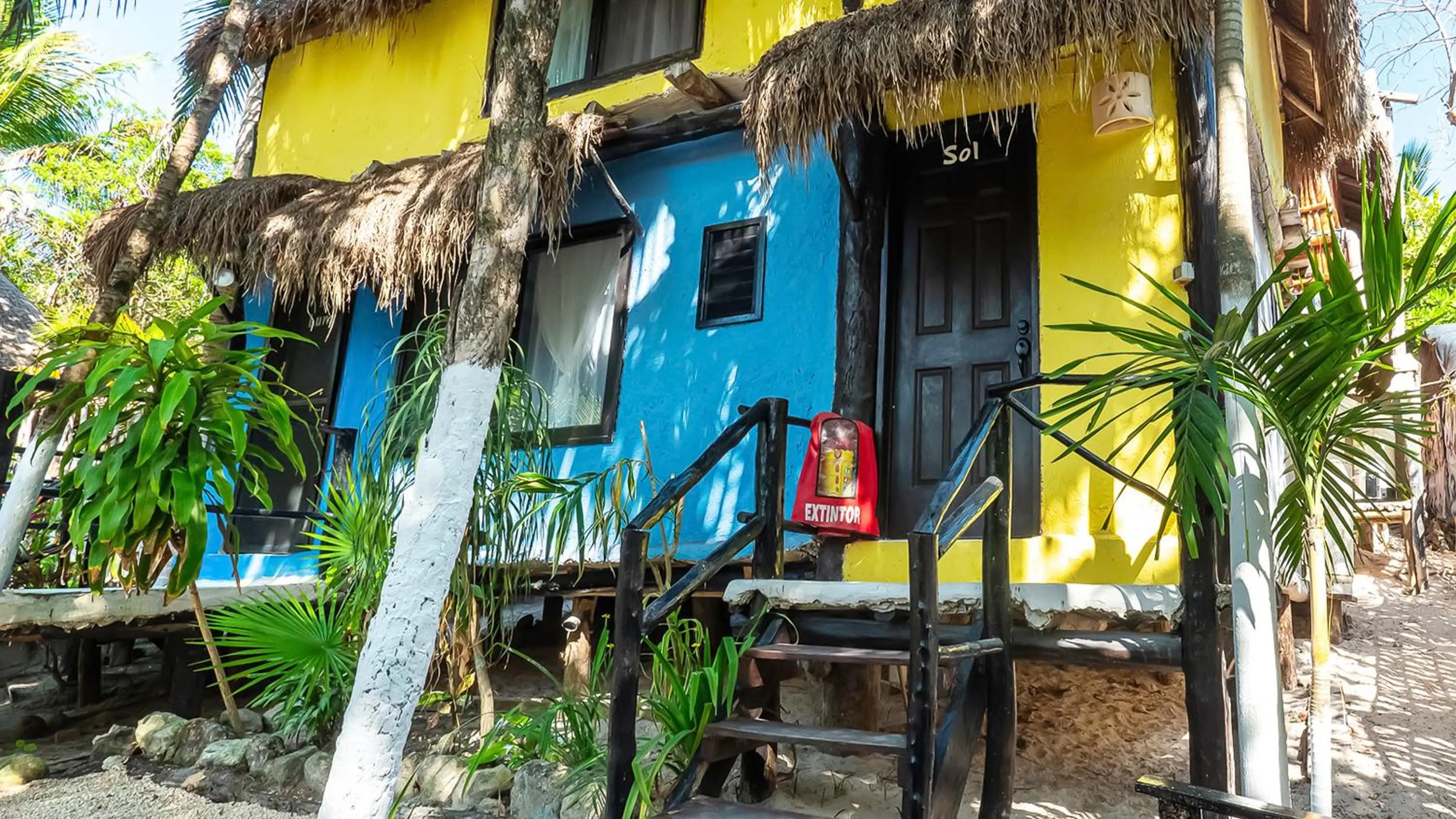 Garden view in Chancabañita Tulum