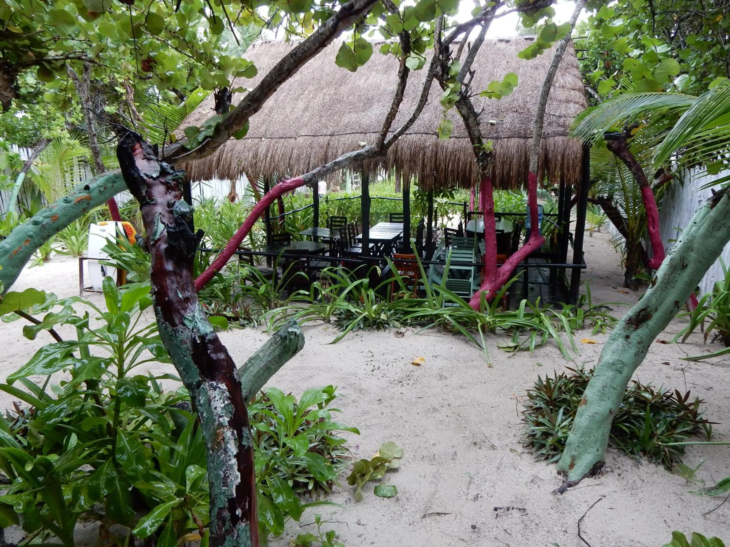 Banquet/Function facilities in Chancabañita Tulum