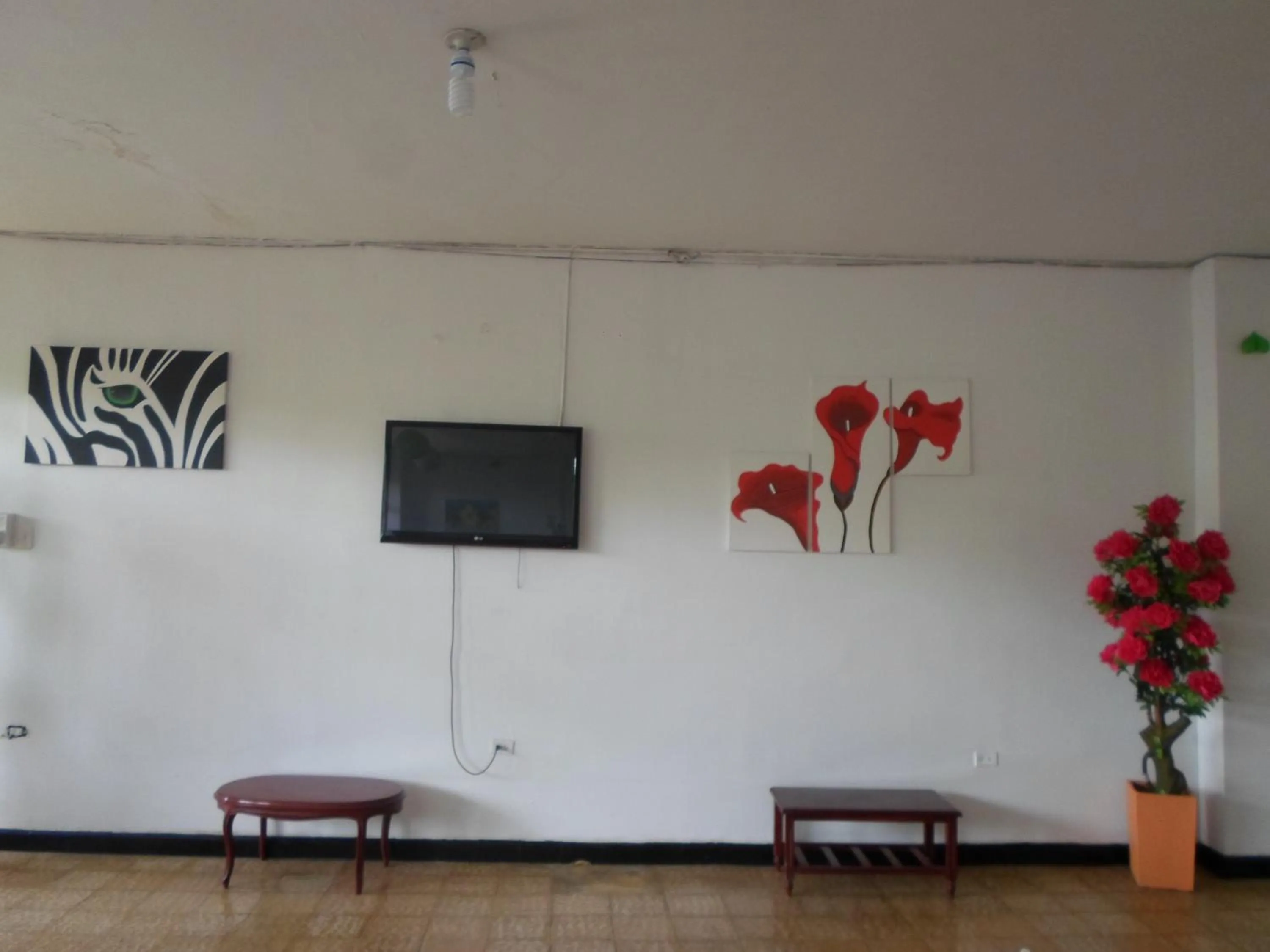 Communal lounge/ TV room in Gran Hotel El Cedro