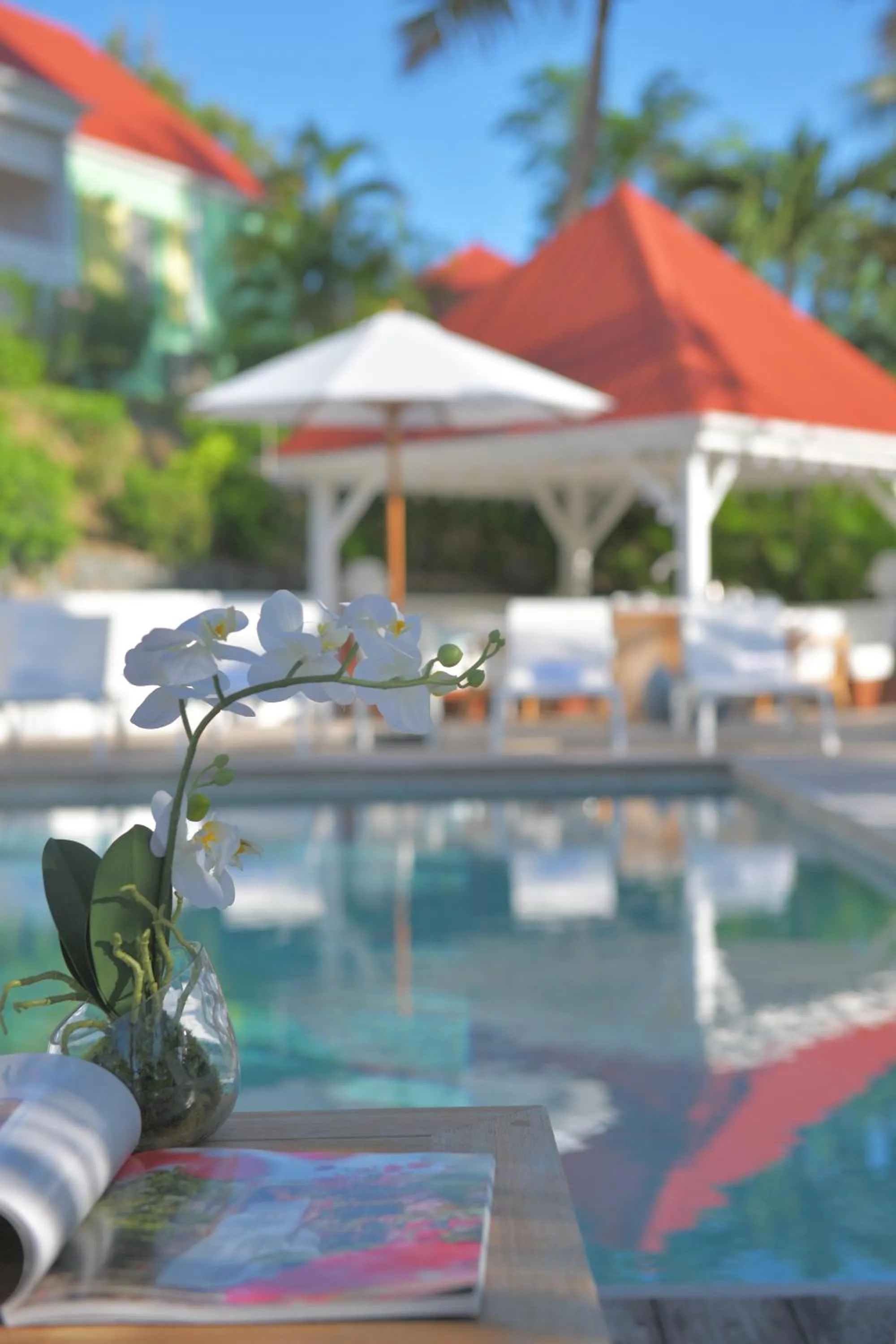 Balcony/Terrace in Les Ilets De La Plage