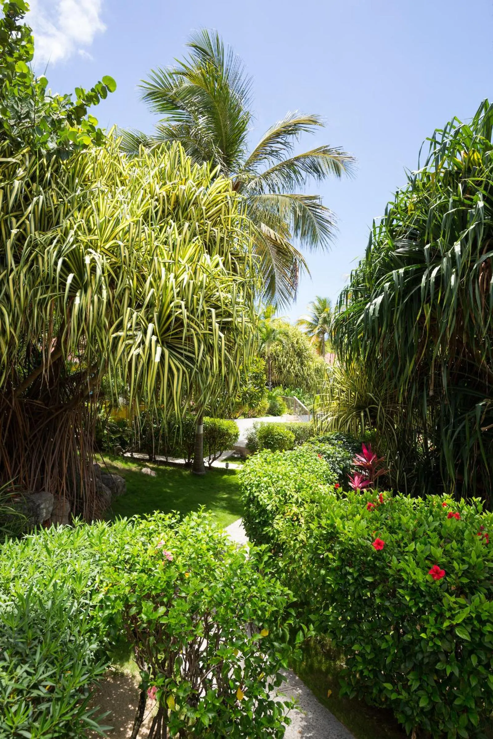 Garden in Les Ilets De La Plage