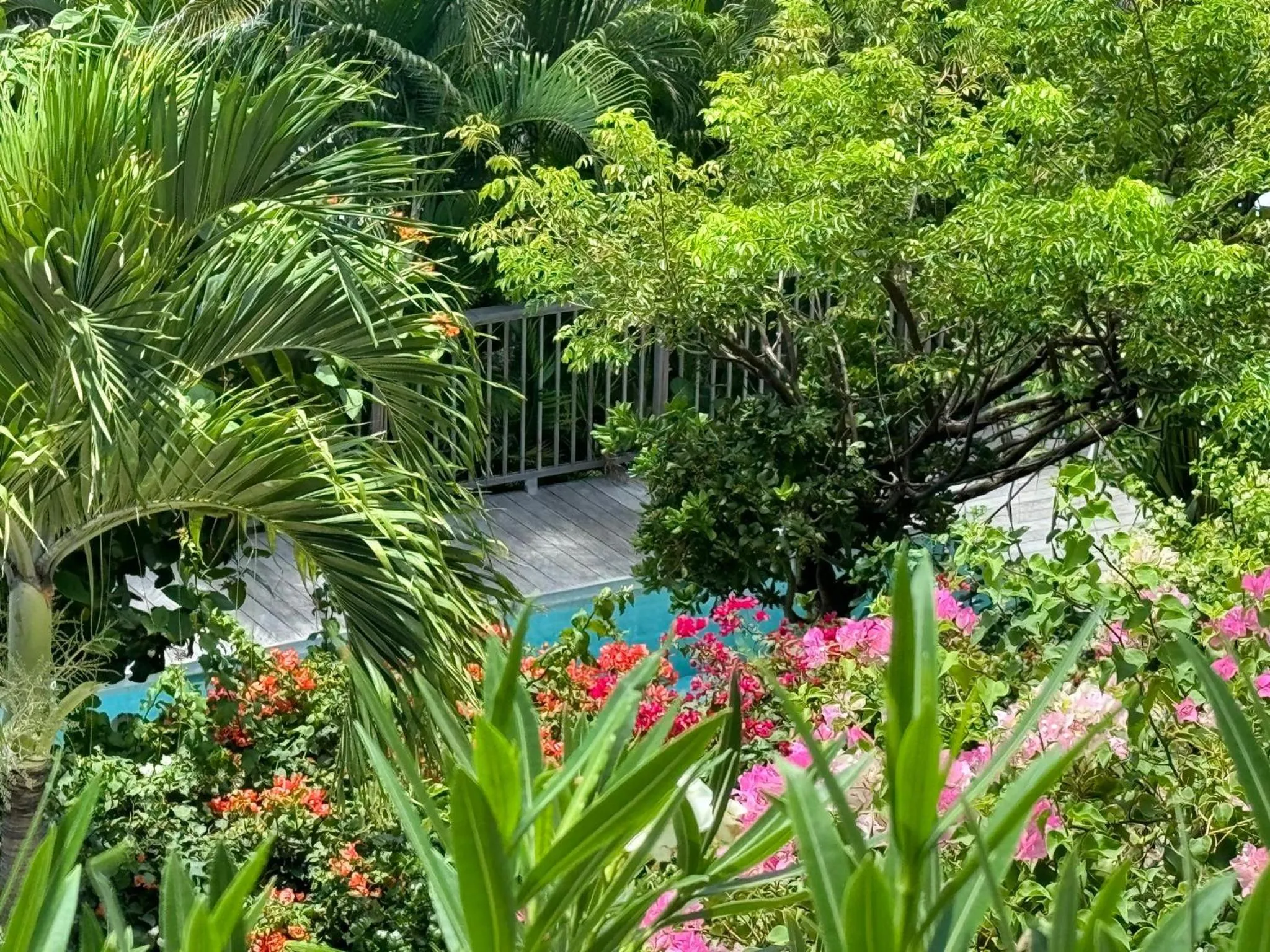 Garden in Les Ilets De La Plage