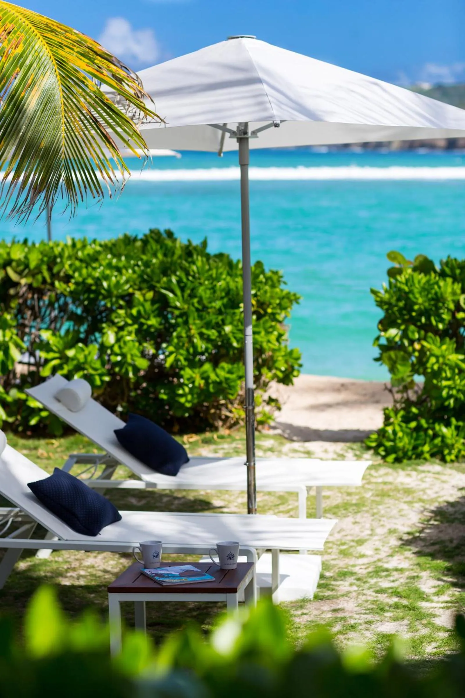 Garden in Les Ilets De La Plage