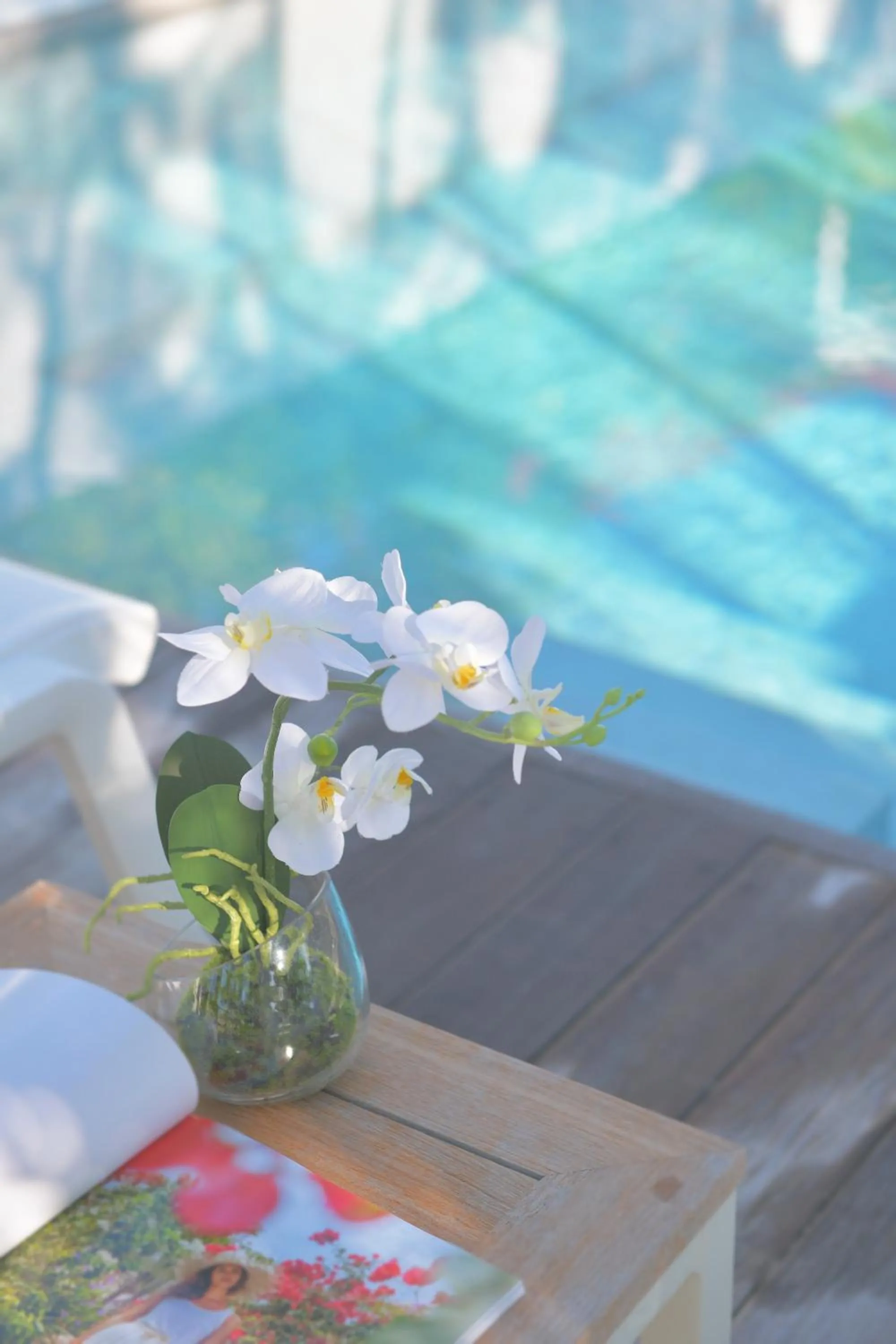 Pool view in Les Ilets De La Plage