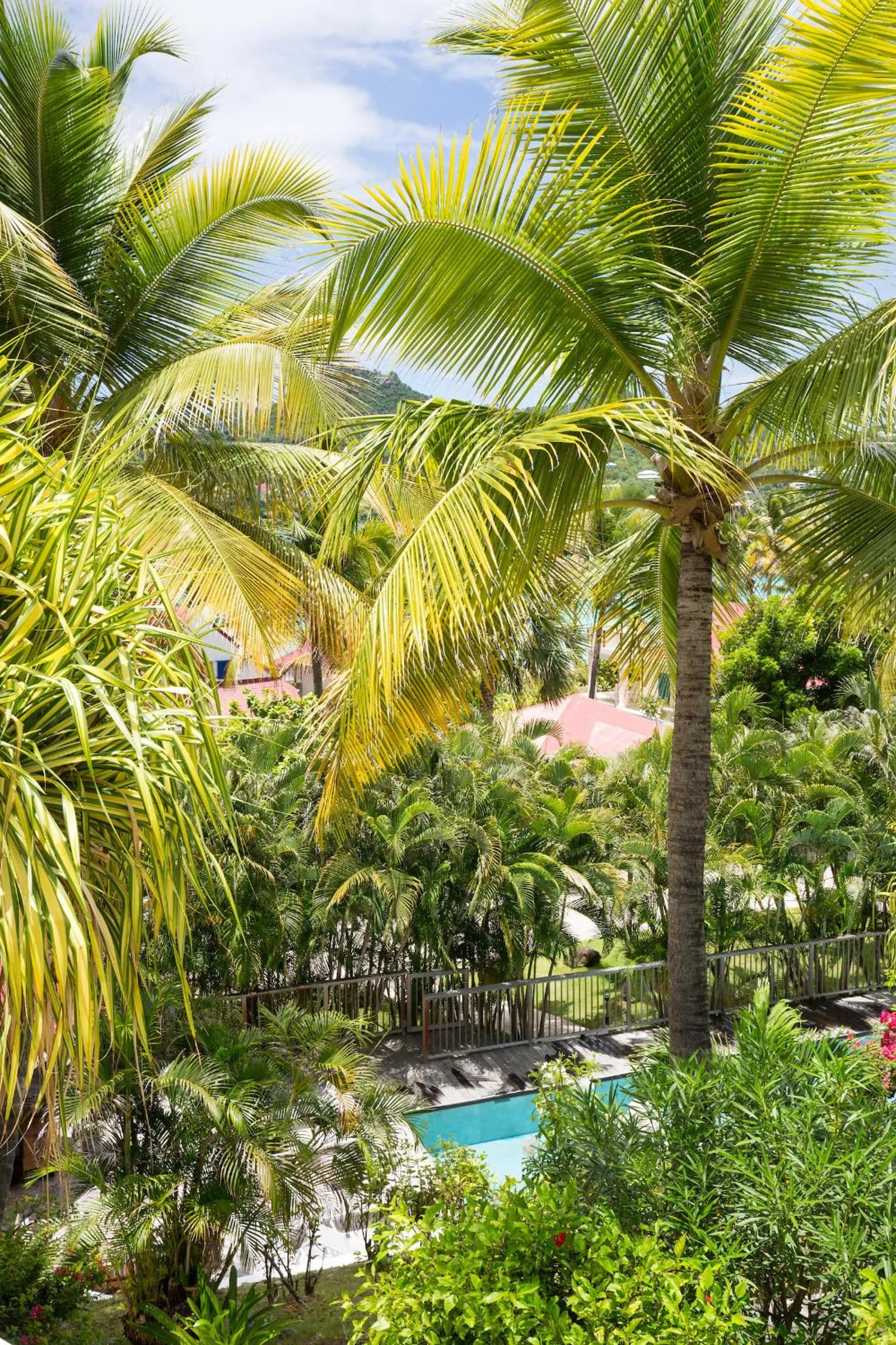 Garden in Les Ilets De La Plage